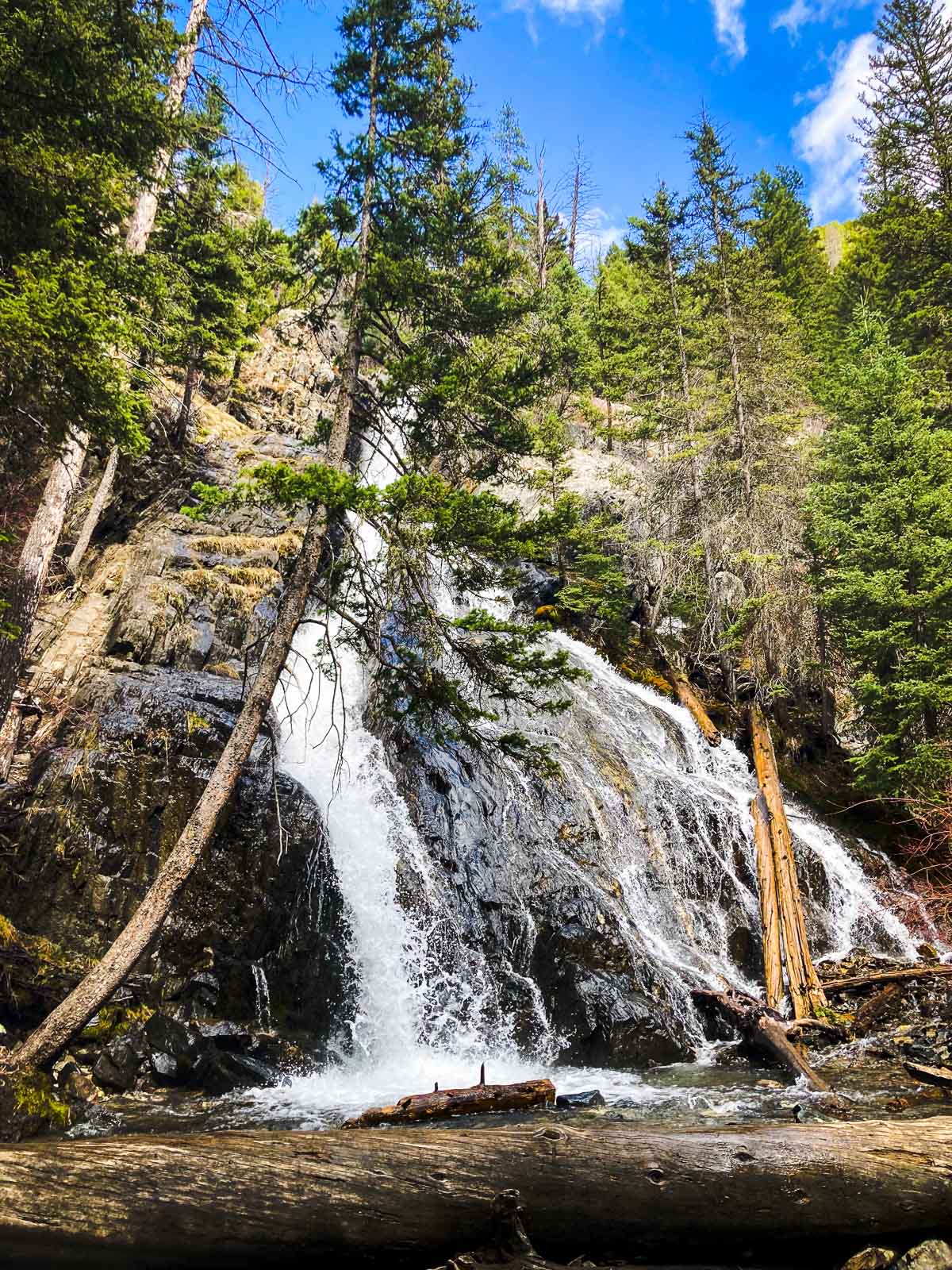 Waterfall in a forest with trees and rocks around