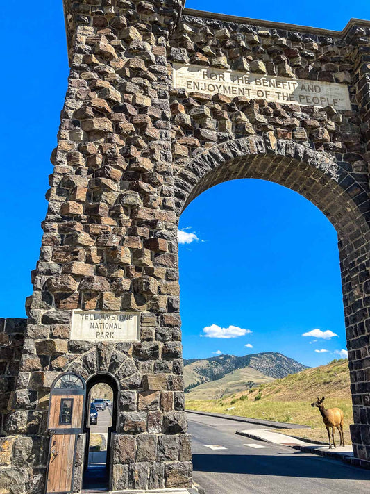 Roosevelt Arch & Elk; Yellowstone National Park, Montana [Black & White and Color]
