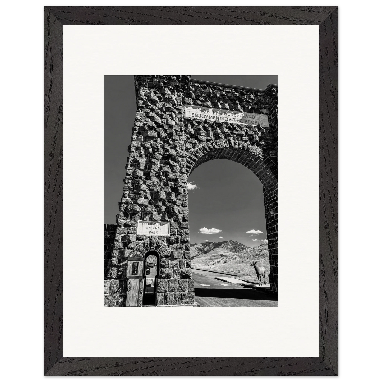 Roosevelt Arch & Elk Yellowstone National Park Montana Black & White Wooden Framed Prints
