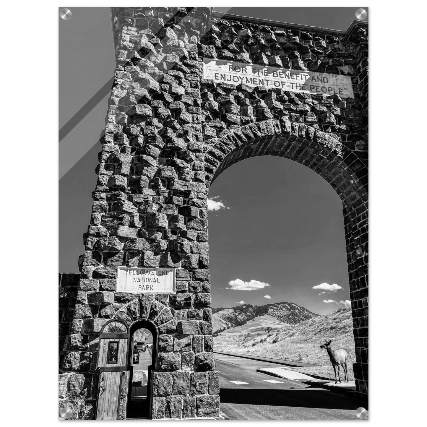 Roosevelt Arch & Elk Yellowstone National Park Montana Black & White Acrylic Prints