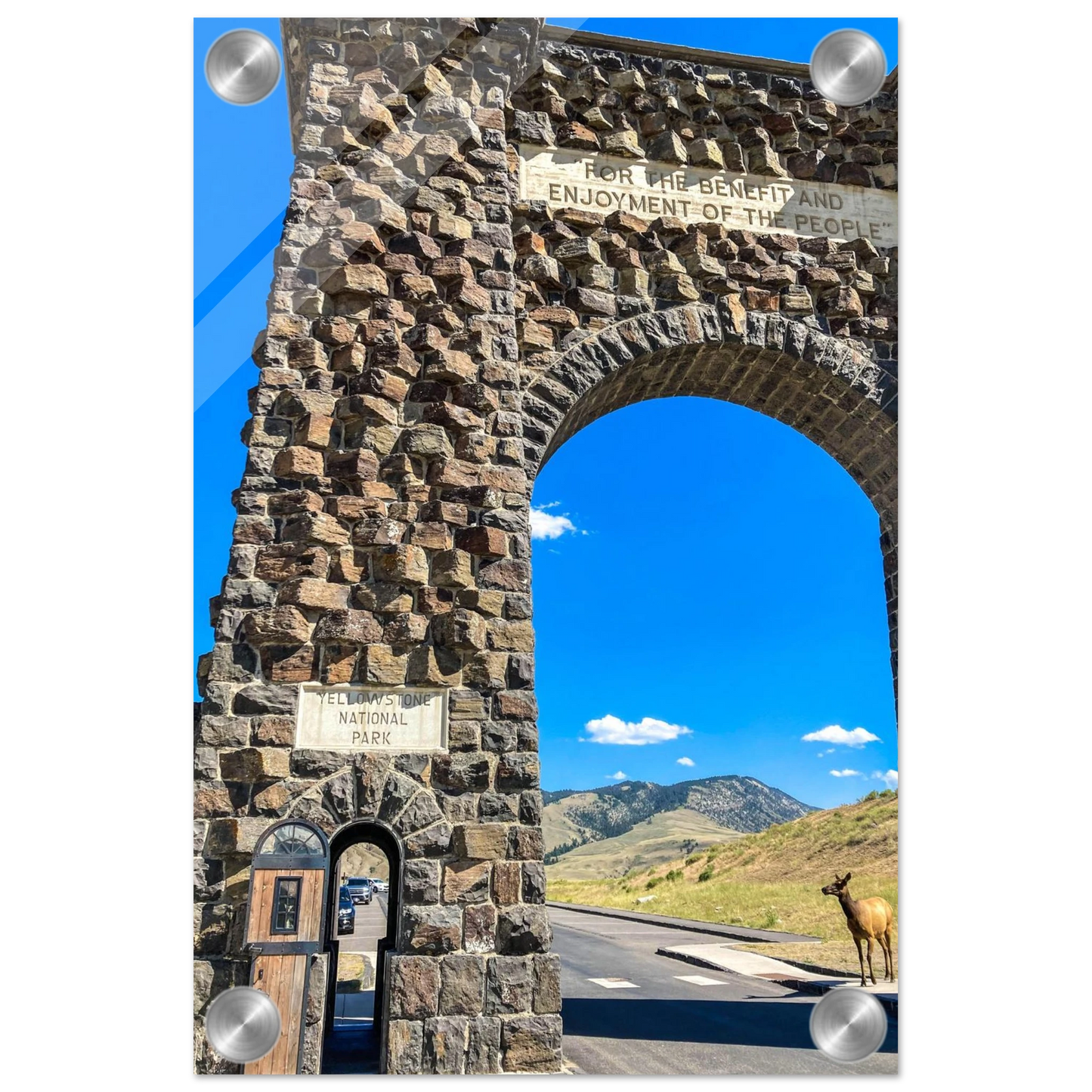 Roosevelt Arch & Elk Yellowstone National Park Montana Acrylic Prints