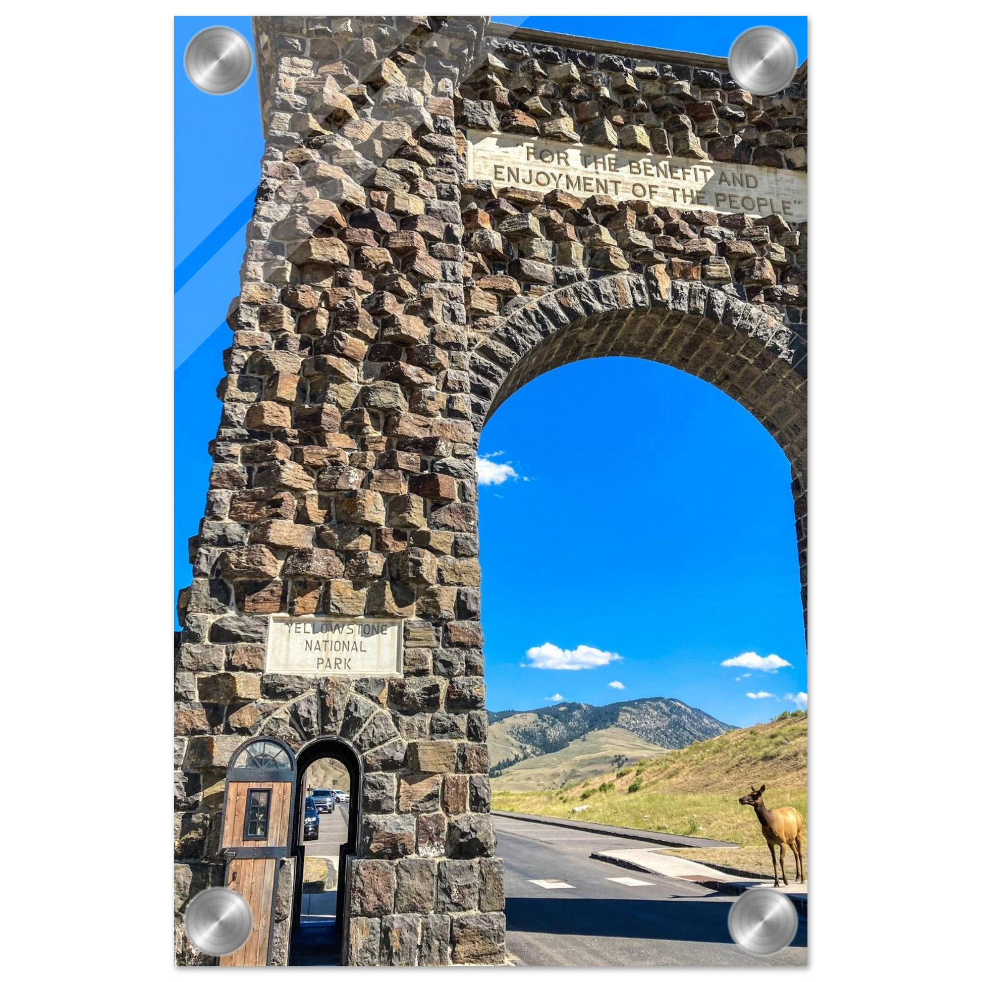 Roosevelt Arch & Elk Yellowstone National Park Montana Acrylic Prints