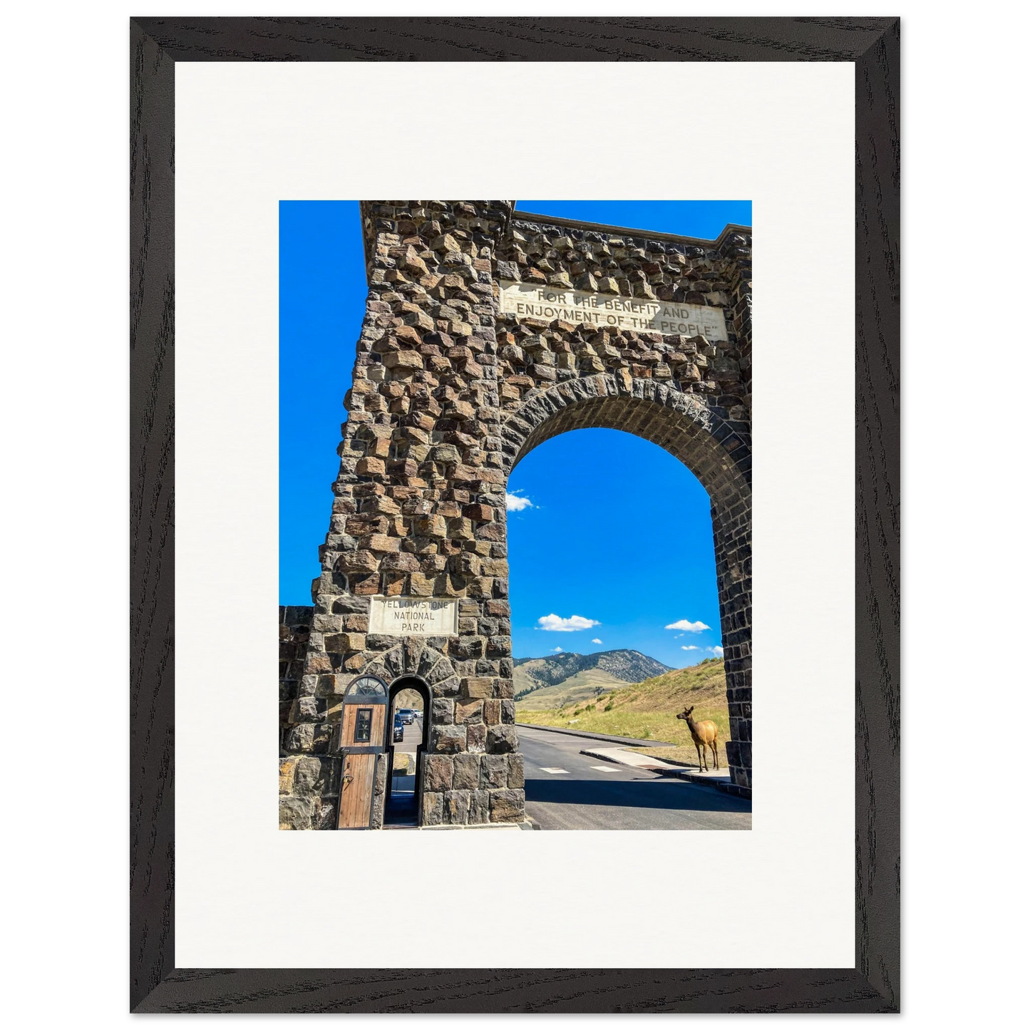 Roosevelt Arch & Elk Yellowstone National Park Montana Wooden Framed Prints