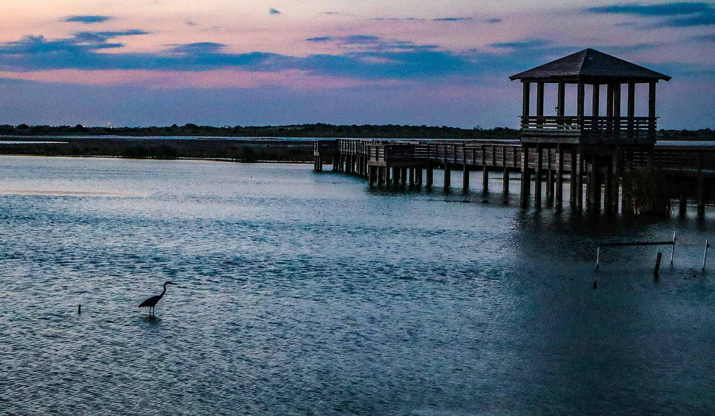 Dusk scene at a dock with a gazebo and birds in the water.