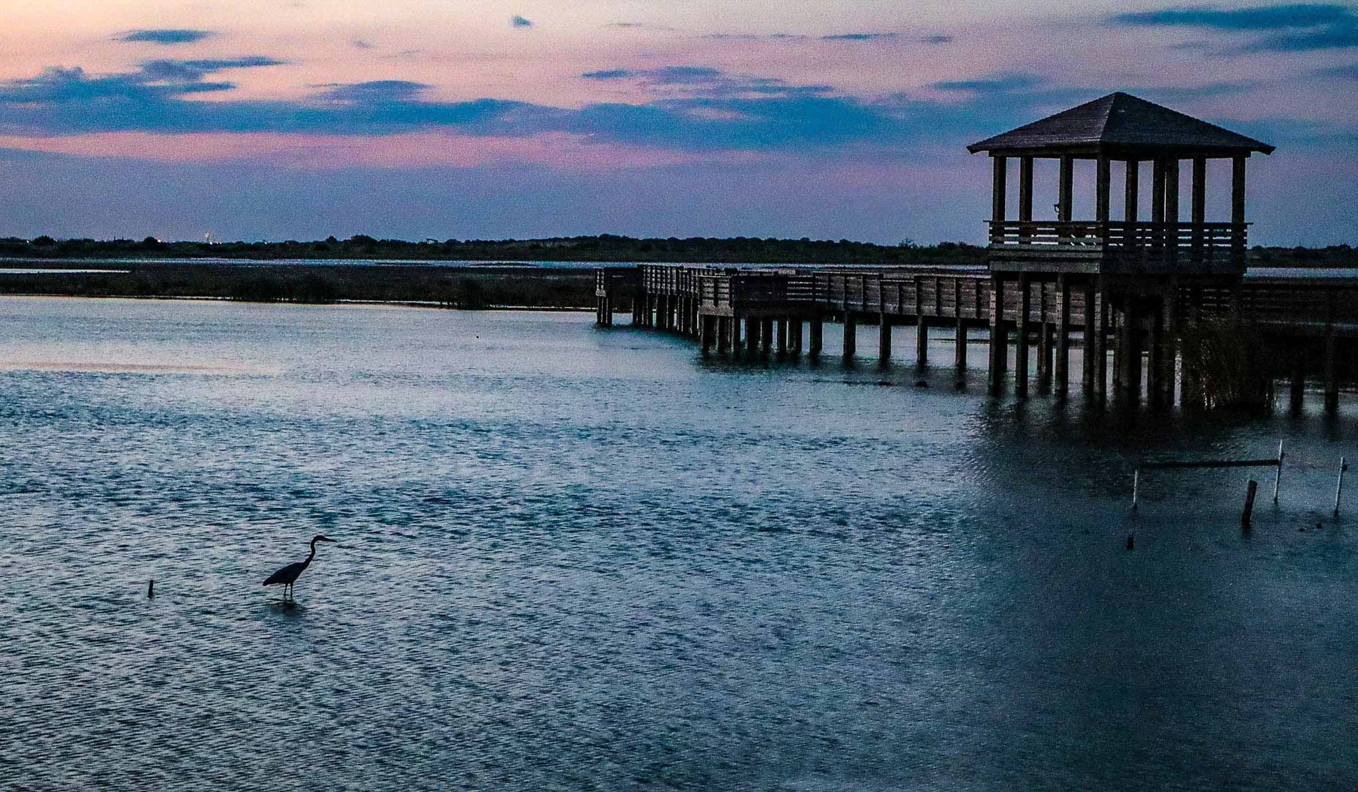 Dusk scene at a dock with a gazebo and birds in the water.
