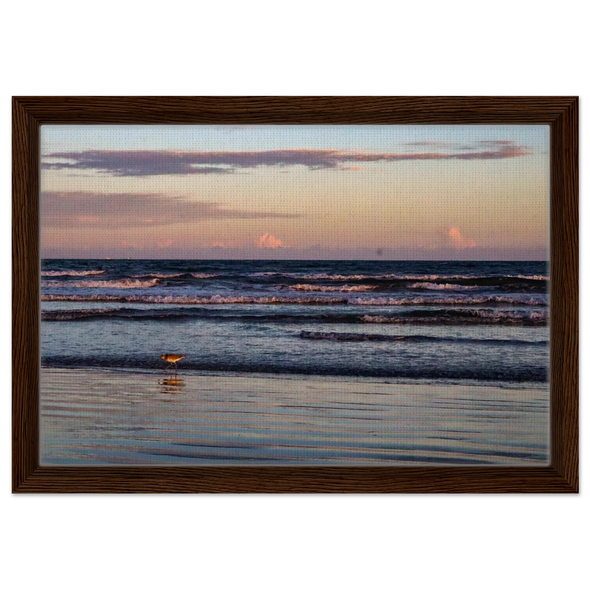 The Sandpiper's Sunset; Port Aransas, Texas Framed Canvas Prints