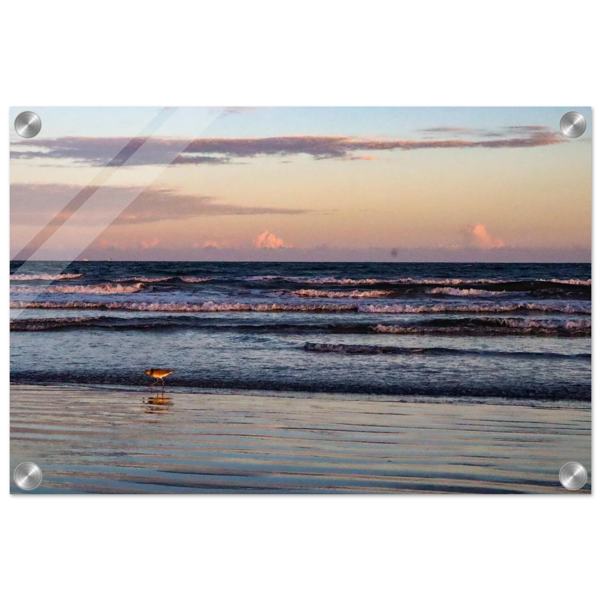 The Sandpiper's Sunset; Port Aransas, Texas Acrylic Prints