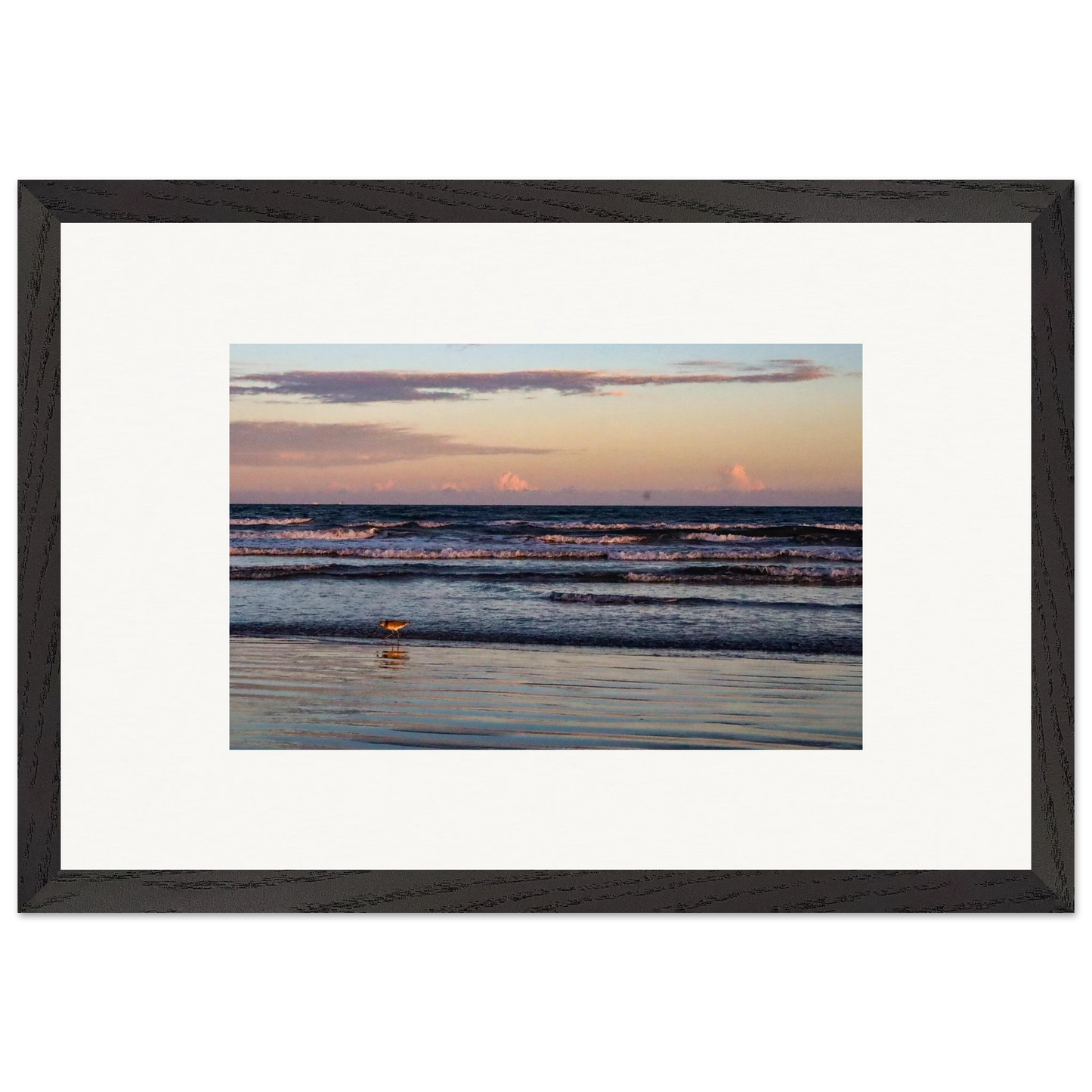The Sandpiper's Sunset; Port Aransas, Texas Wooden Framed Prints