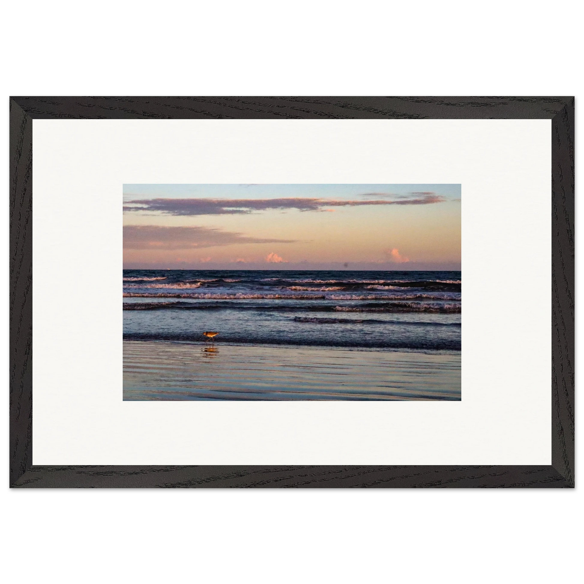 The Sandpiper's Sunset; Port Aransas, Texas Wooden Framed Prints