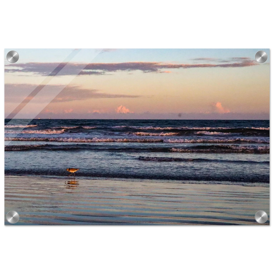 a089b5d0-8d18-4f5d-b32a-3fdd761d7954