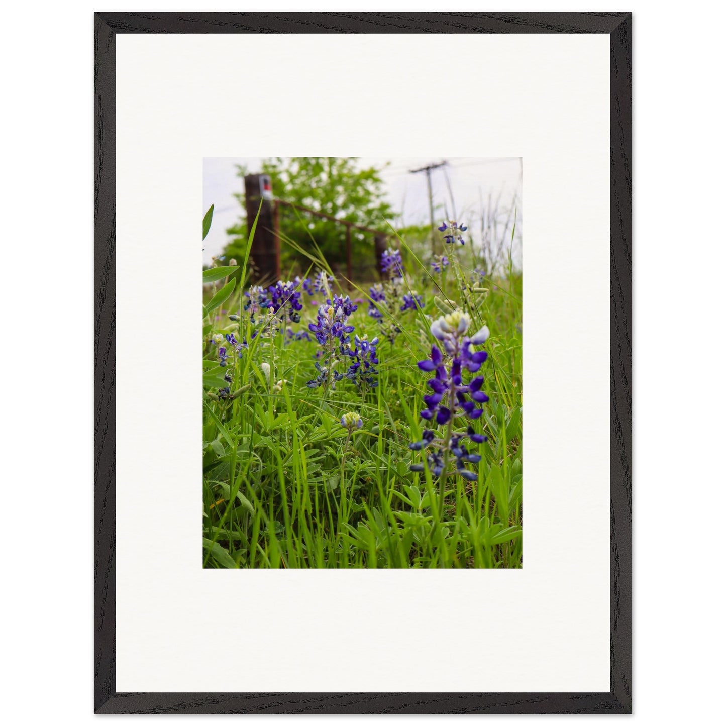 a21b1c94-2cce-463b-b90e-dcf4057a08cd