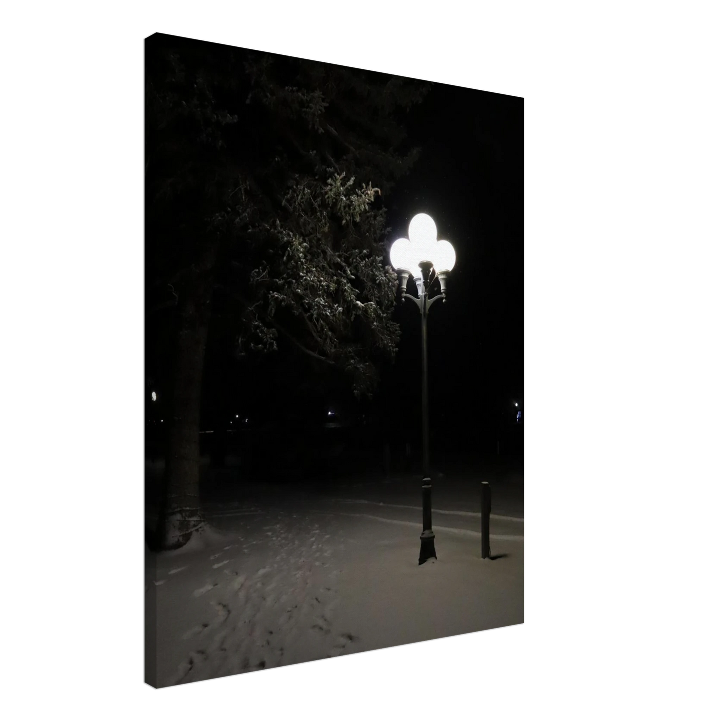 a29ef082-c659-4dca-b87e-a68db7060529