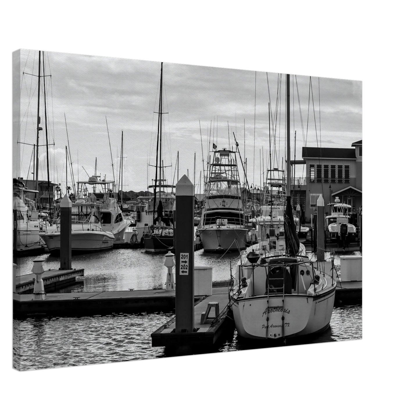 a488a153-084f-4318-8969-d0d2e13140ec