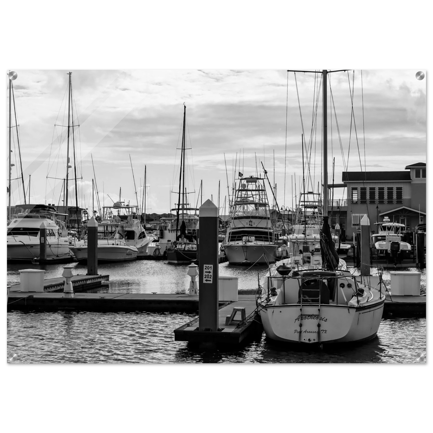 a8c6f680-624b-4392-ad19-a8477b5feb55