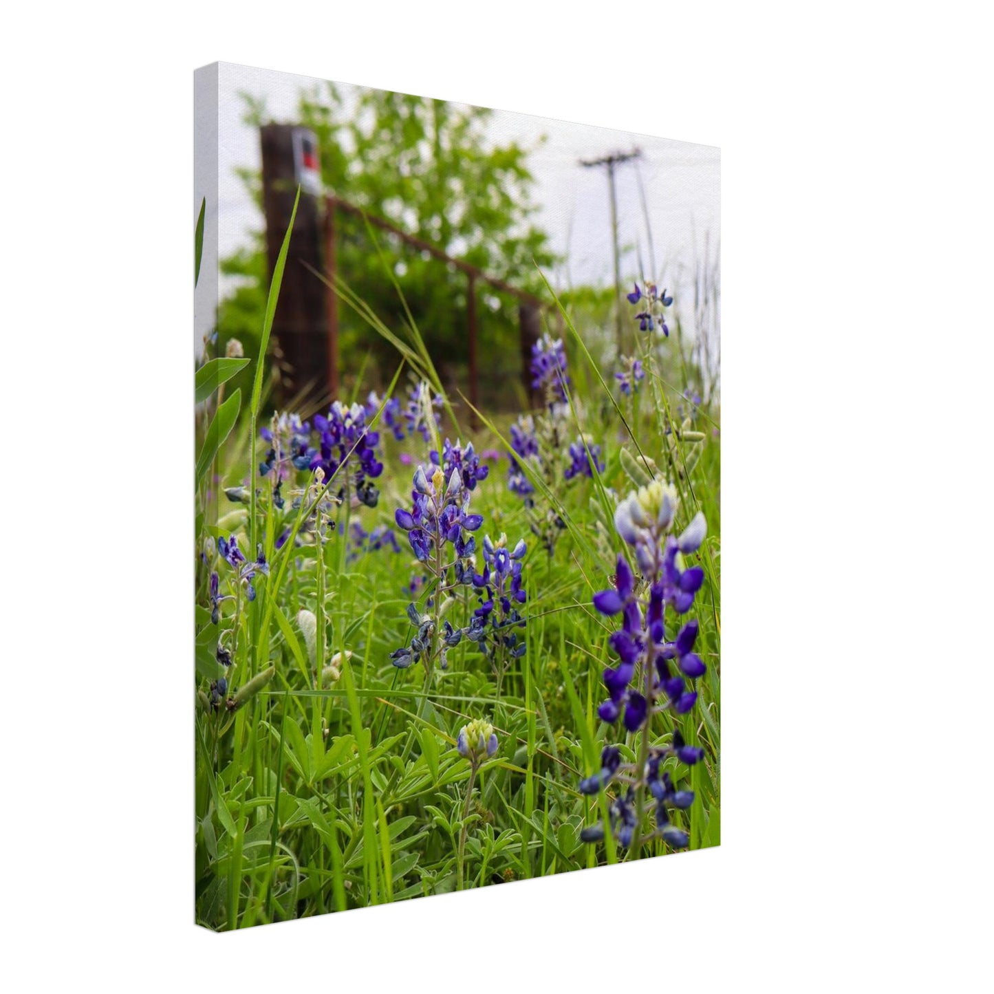 a9e17403-6846-47f2-a1b8-6cd36a0eeb1c