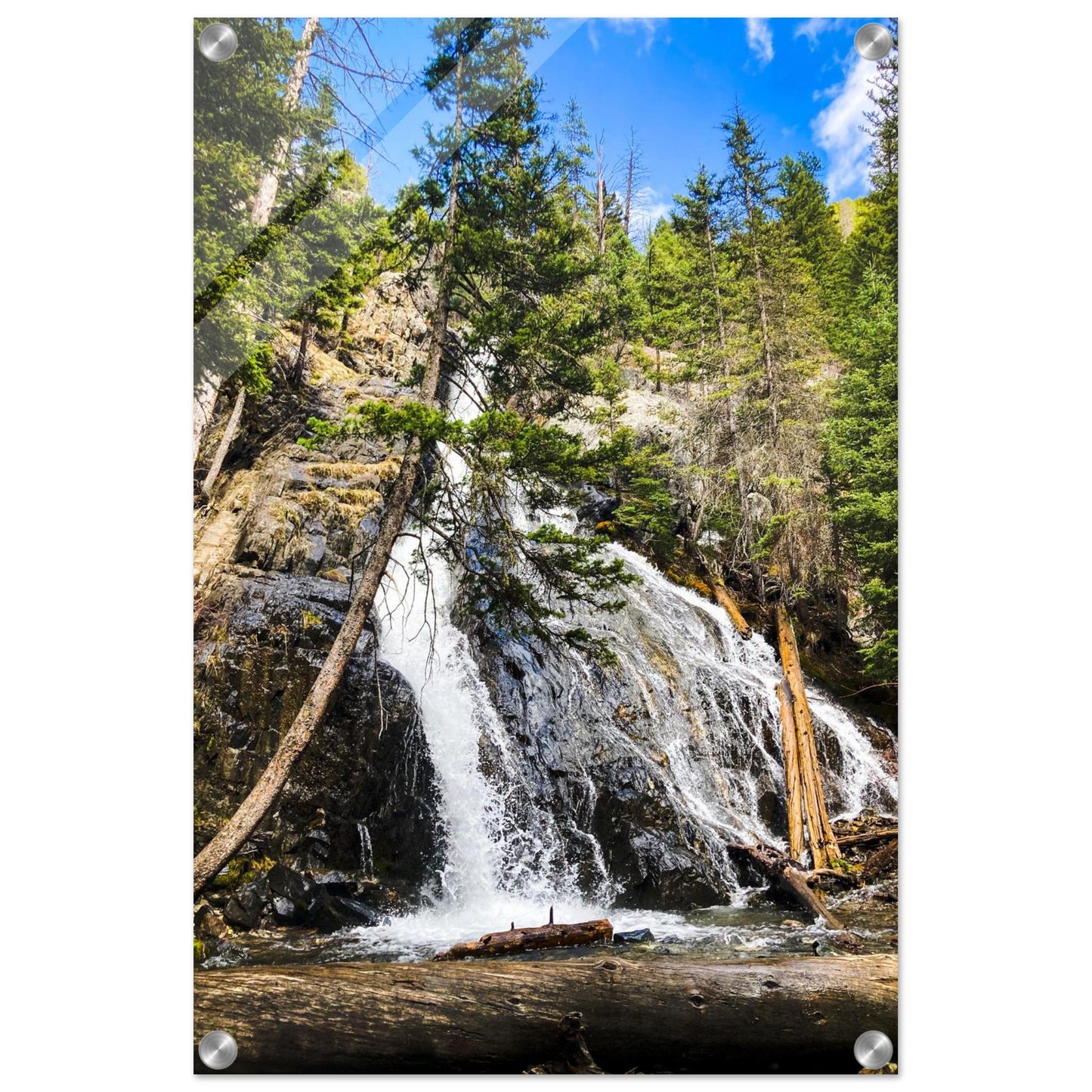 aacf9b09-6d55-452e-8abe-1cb3566c142e