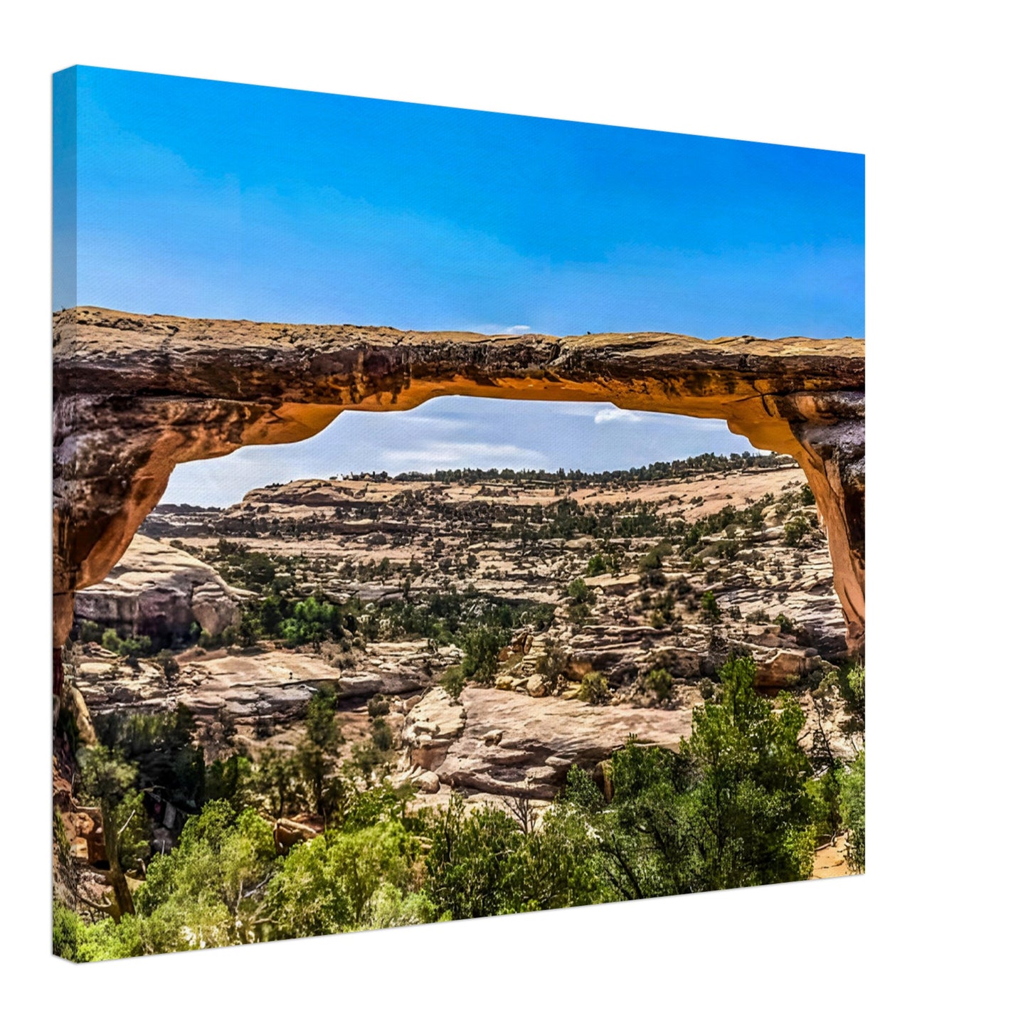 ac863885-4e6c-4460-85a1-82cb422da486