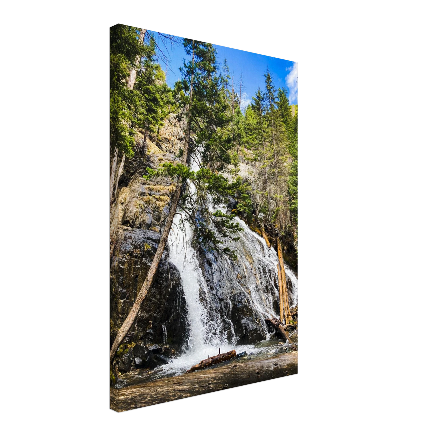 af40ebac-62f2-467b-9c13-5e3803fde05b