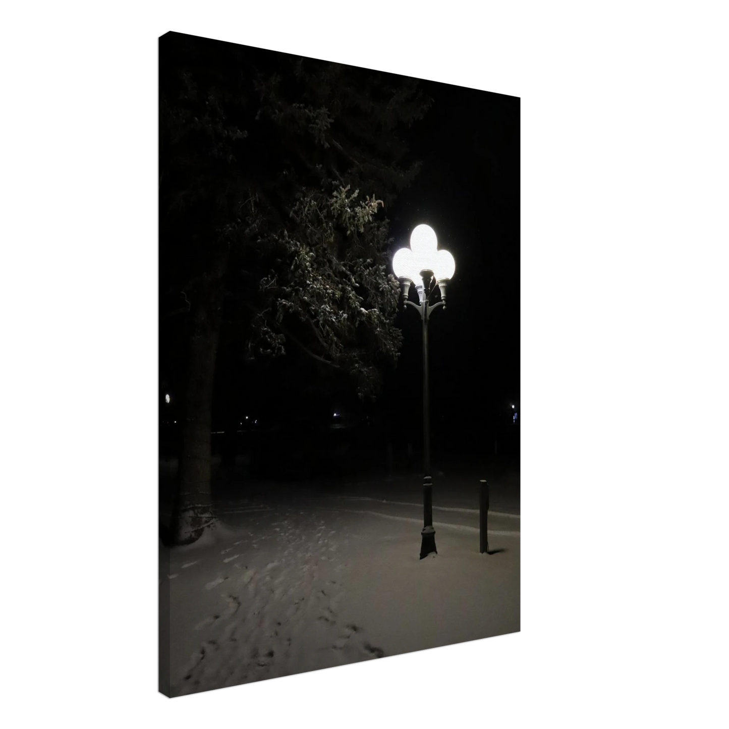 b444a628-9935-4ff0-95e6-c8b6d101f064