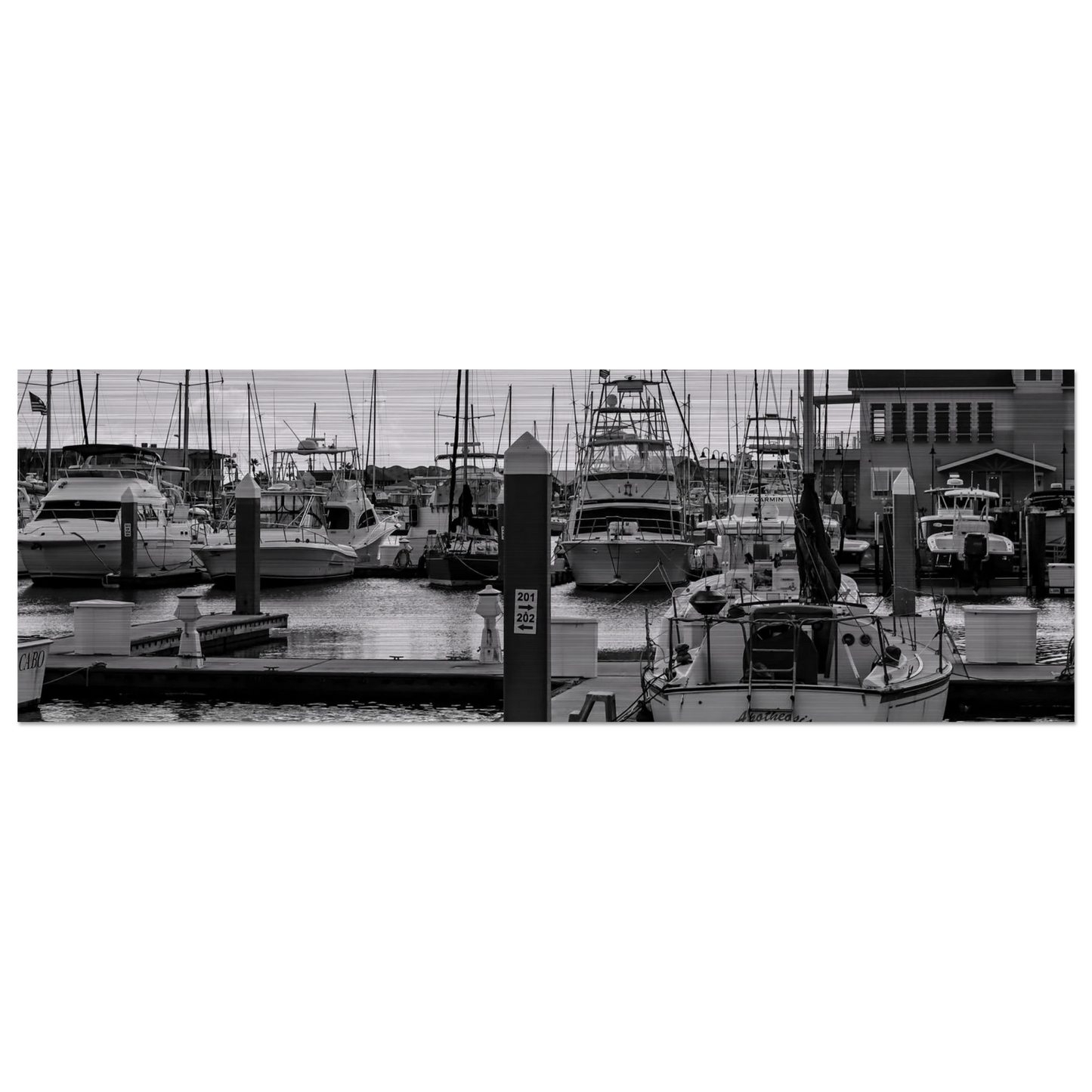 b5732864-83d4-41bb-bdd2-b19e3bd1a239