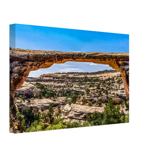 b8dd1779-12ec-4fea-899b-6561d0ae9a7d