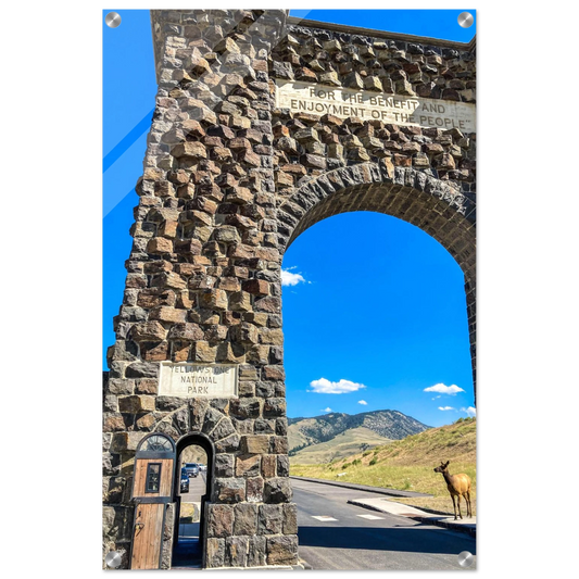 bd21da46-3cc4-4a68-bf26-46a2b0615934