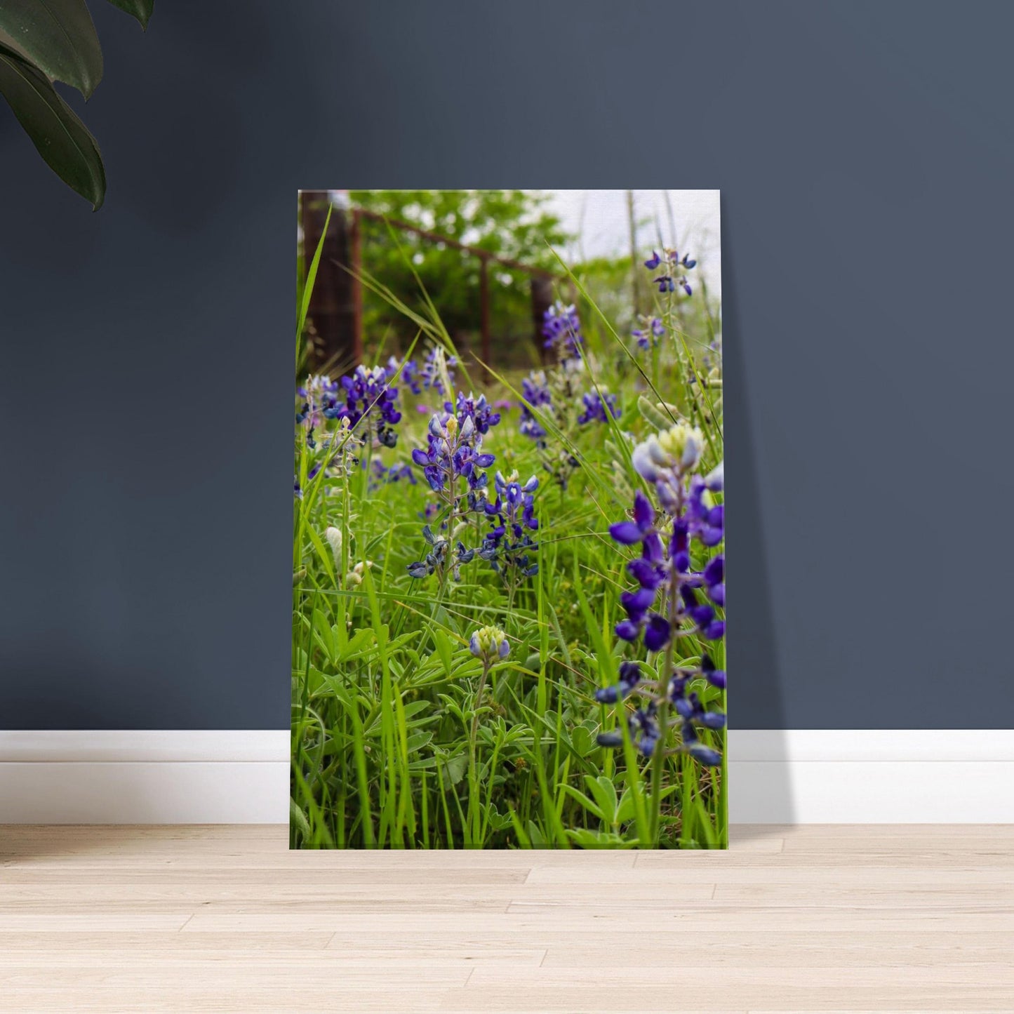 be14632a-52c0-4fcd-b668-db8c142428c5