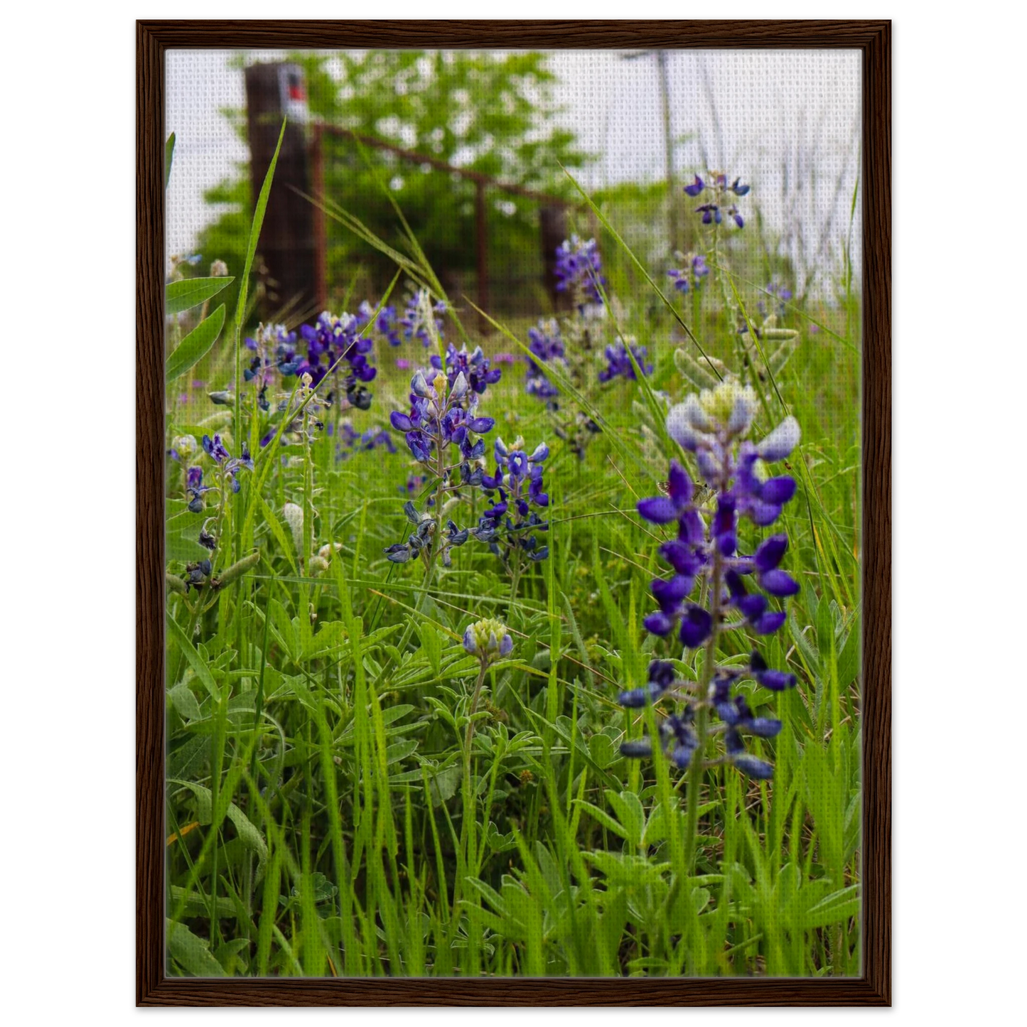 be65e30f-b549-4f78-8004-32a2ed86edda