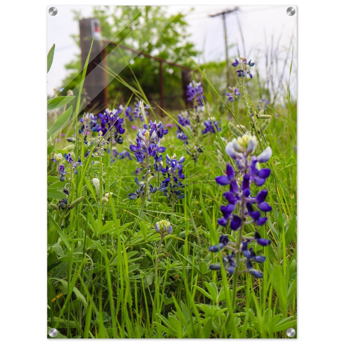 bfaf5a5f-9971-4488-962b-e466edfe947d