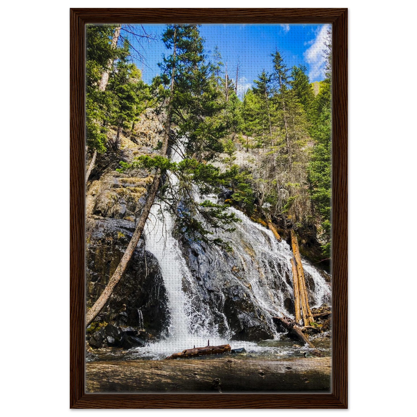 c03df437-c6e3-4095-9e70-f0a5e21ac70b