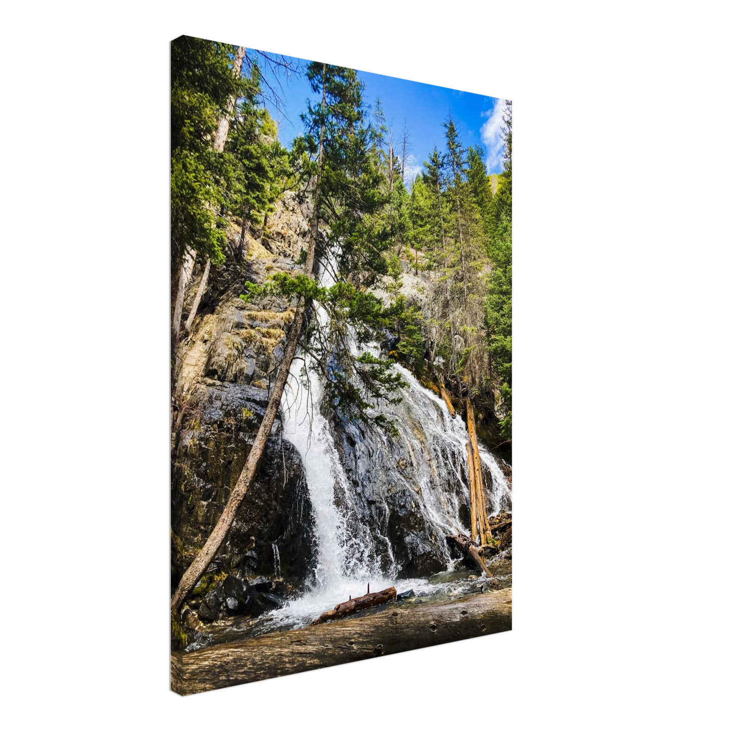 c0d65d6f-cb54-4e25-bc3e-c17086469668