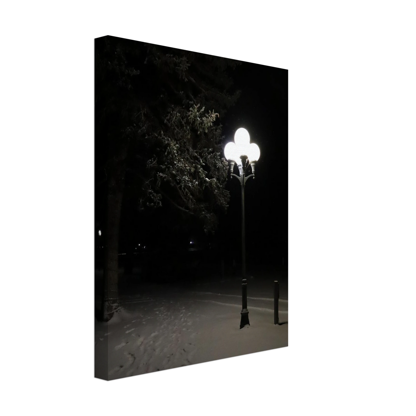 c1b314b6-f344-42bf-837b-e50db17315c2