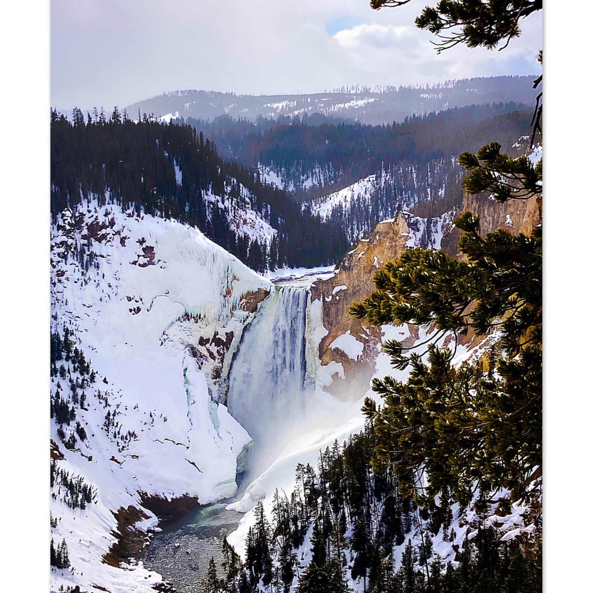 Lower Falls, Yellowstone National Park II Premium Matte Poster