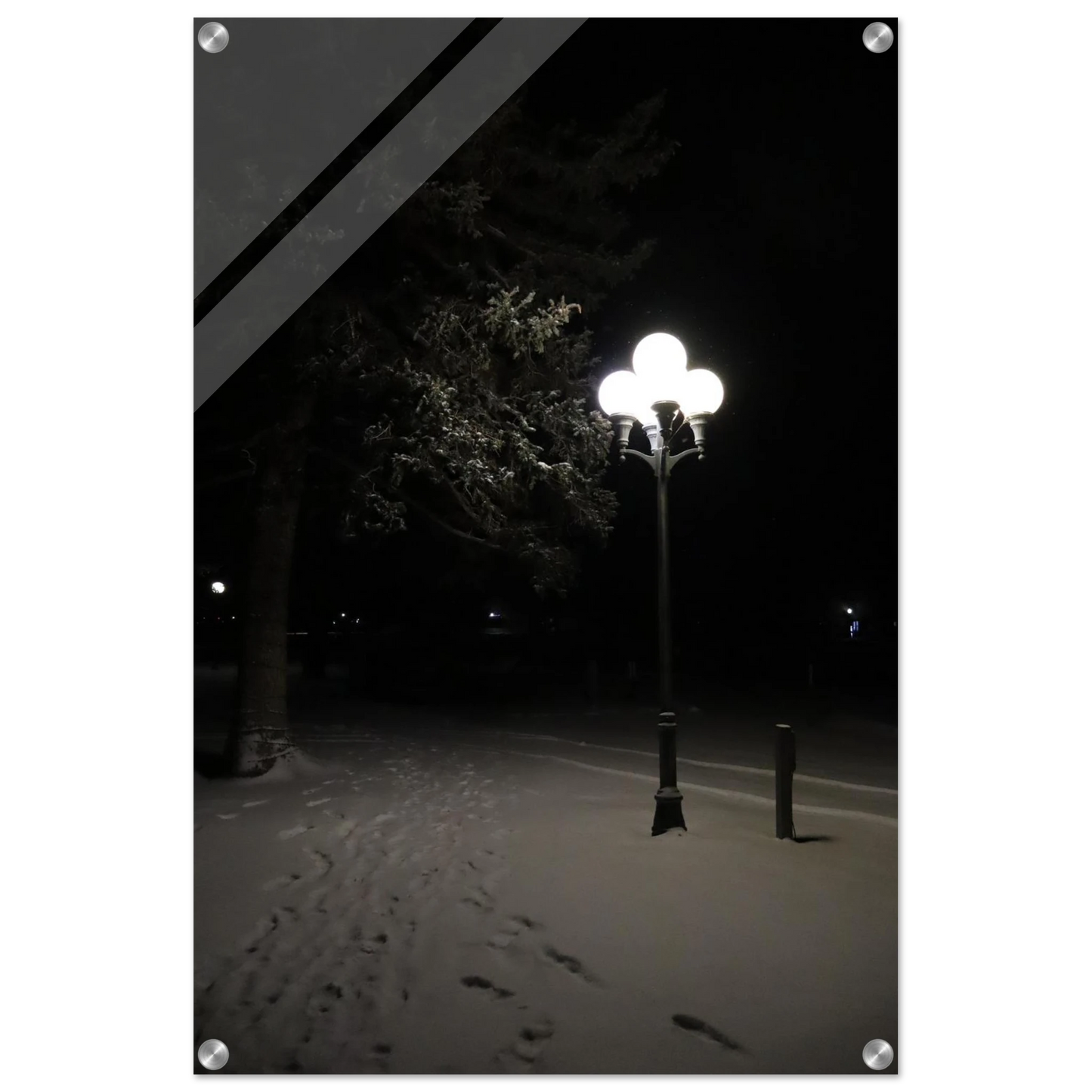 c6d55ae0-7234-47ff-814b-5013d193fea7