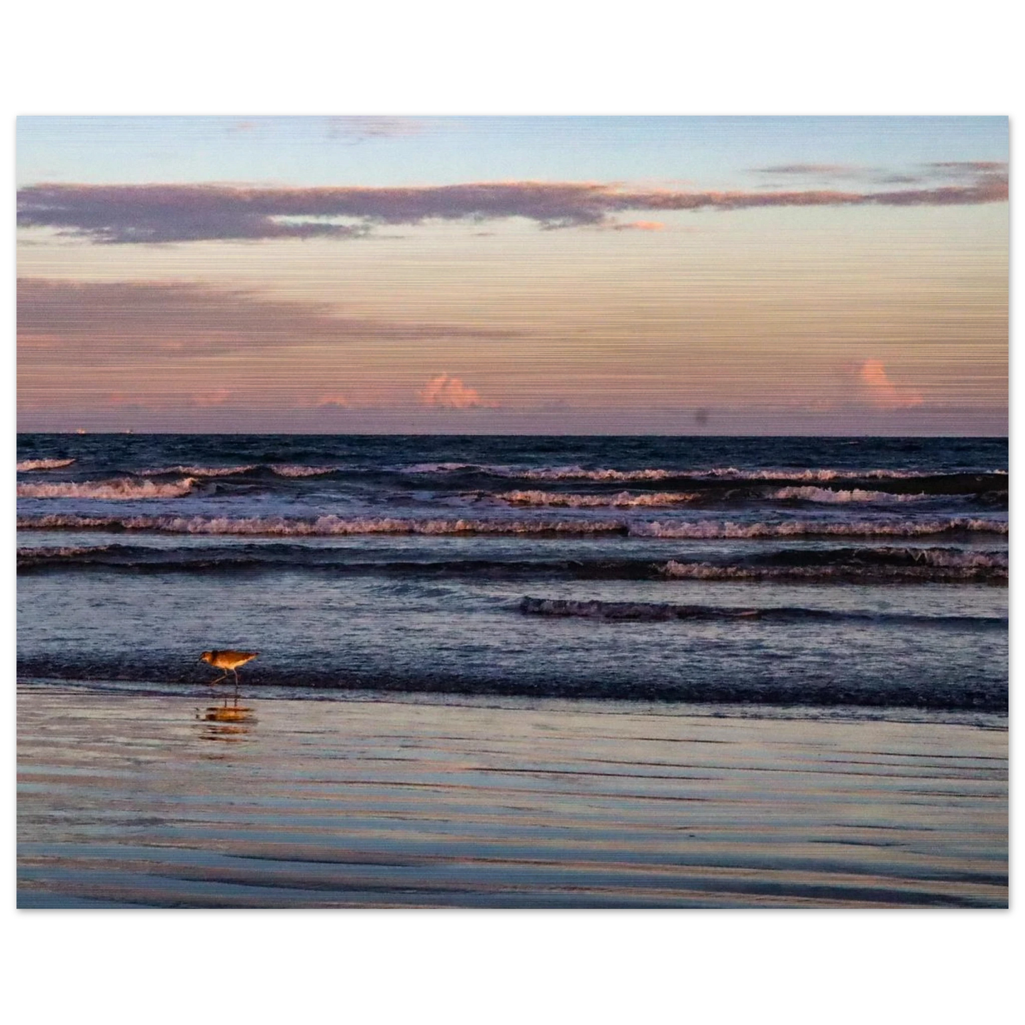 c8059a6e-3cb8-4cee-aa5f-b5c0070d92ed