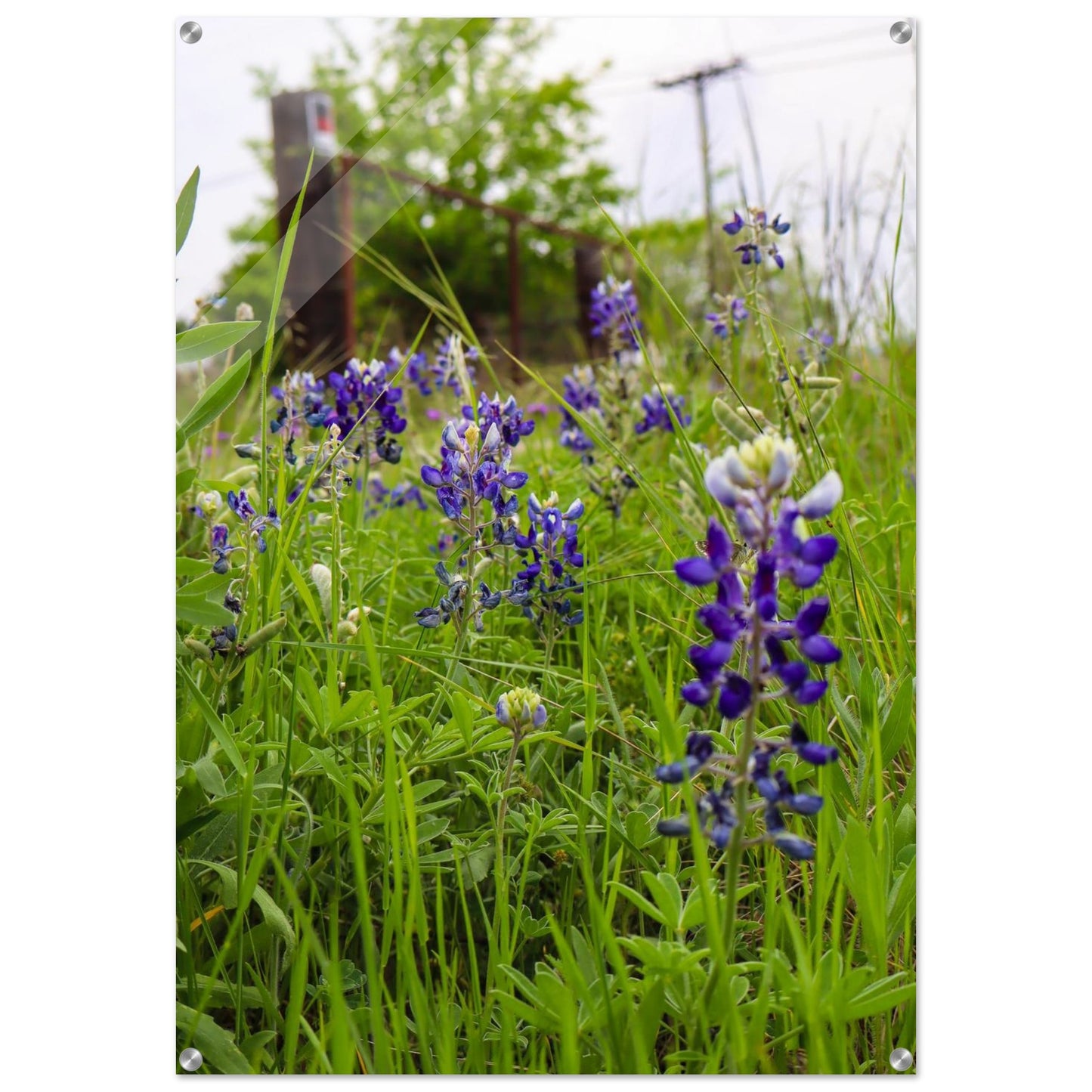 c9bef447-2a3e-423d-b037-28ff43f50061