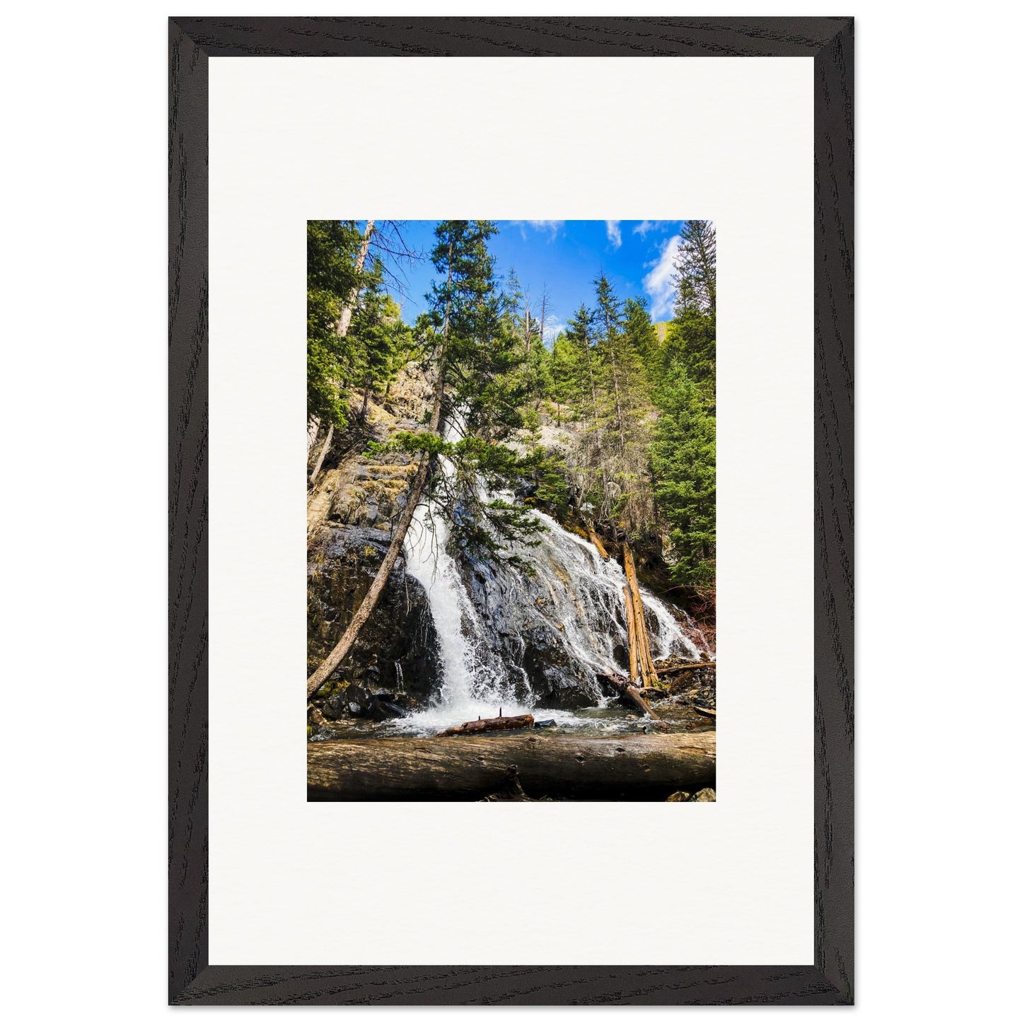 ca7078be-983a-4fb7-be72-2e370a98ee2c