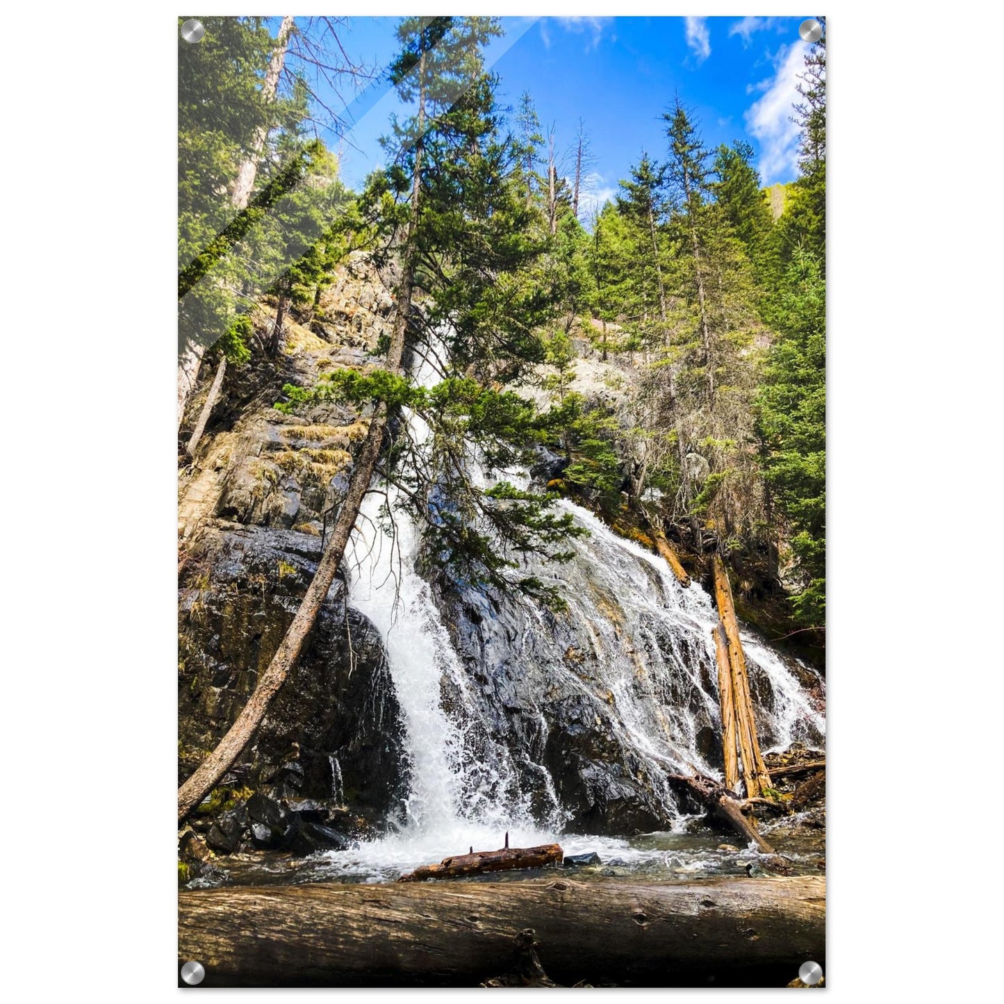 cadeb5d9-659b-4e65-838a-7a1dfe428773