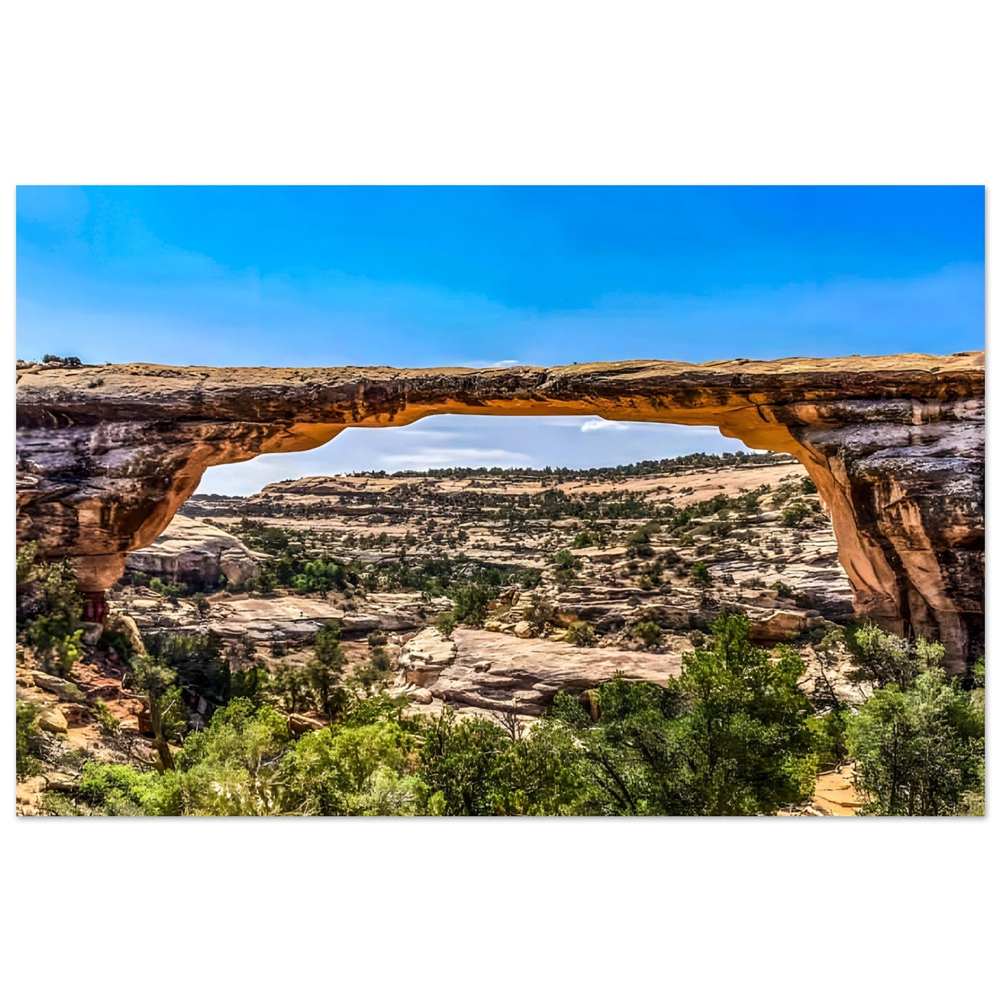 cc312fbc-5e89-4cdd-81c5-50da05eea09a