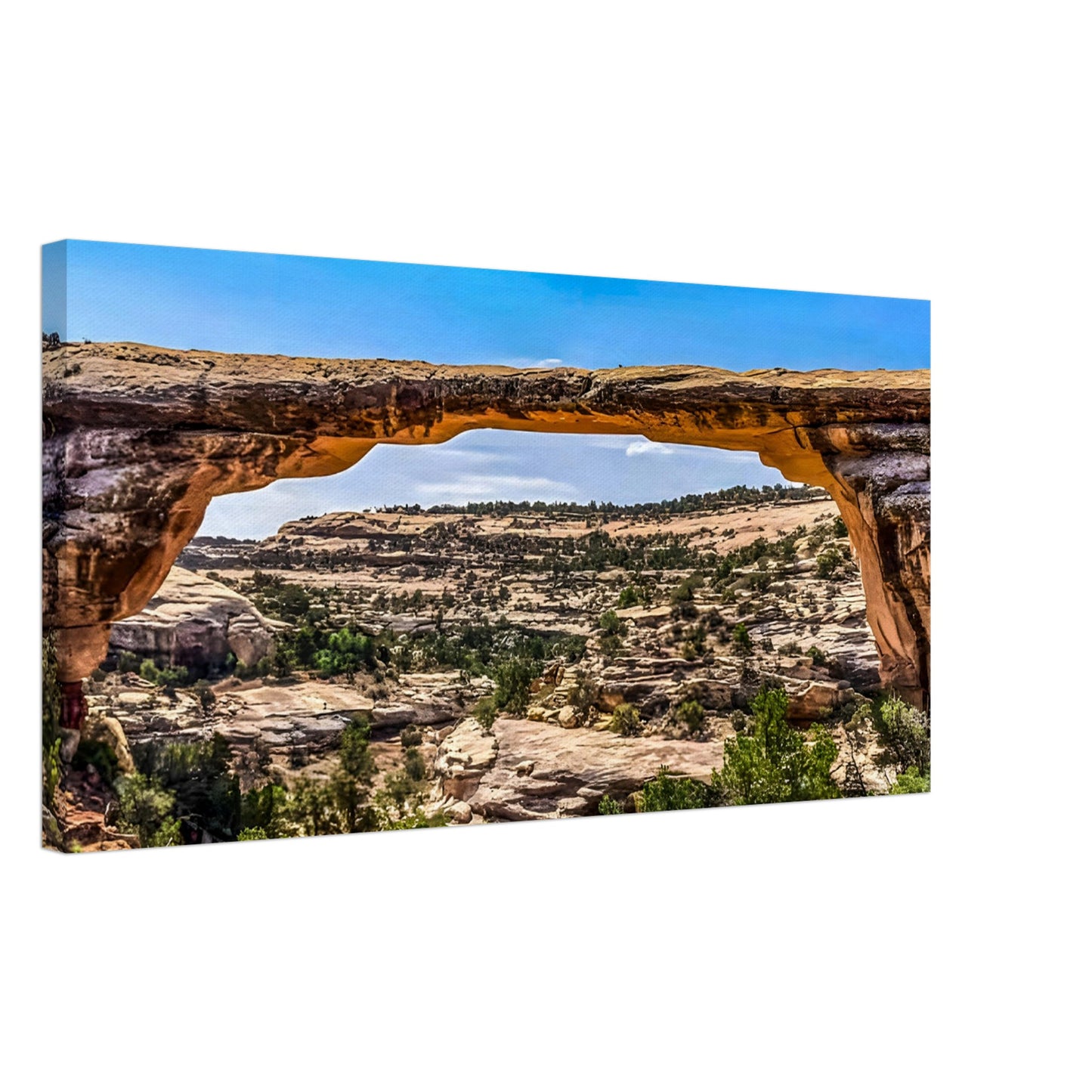 ccbb761c-5fc6-4ddc-bfea-e3856735e59a