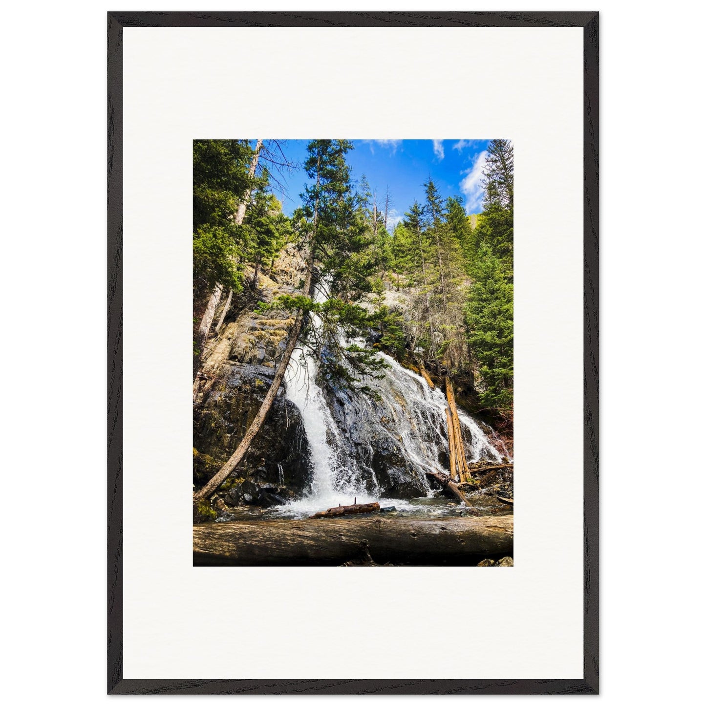 cce3c671-c29f-4447-bc76-68f1d8713147