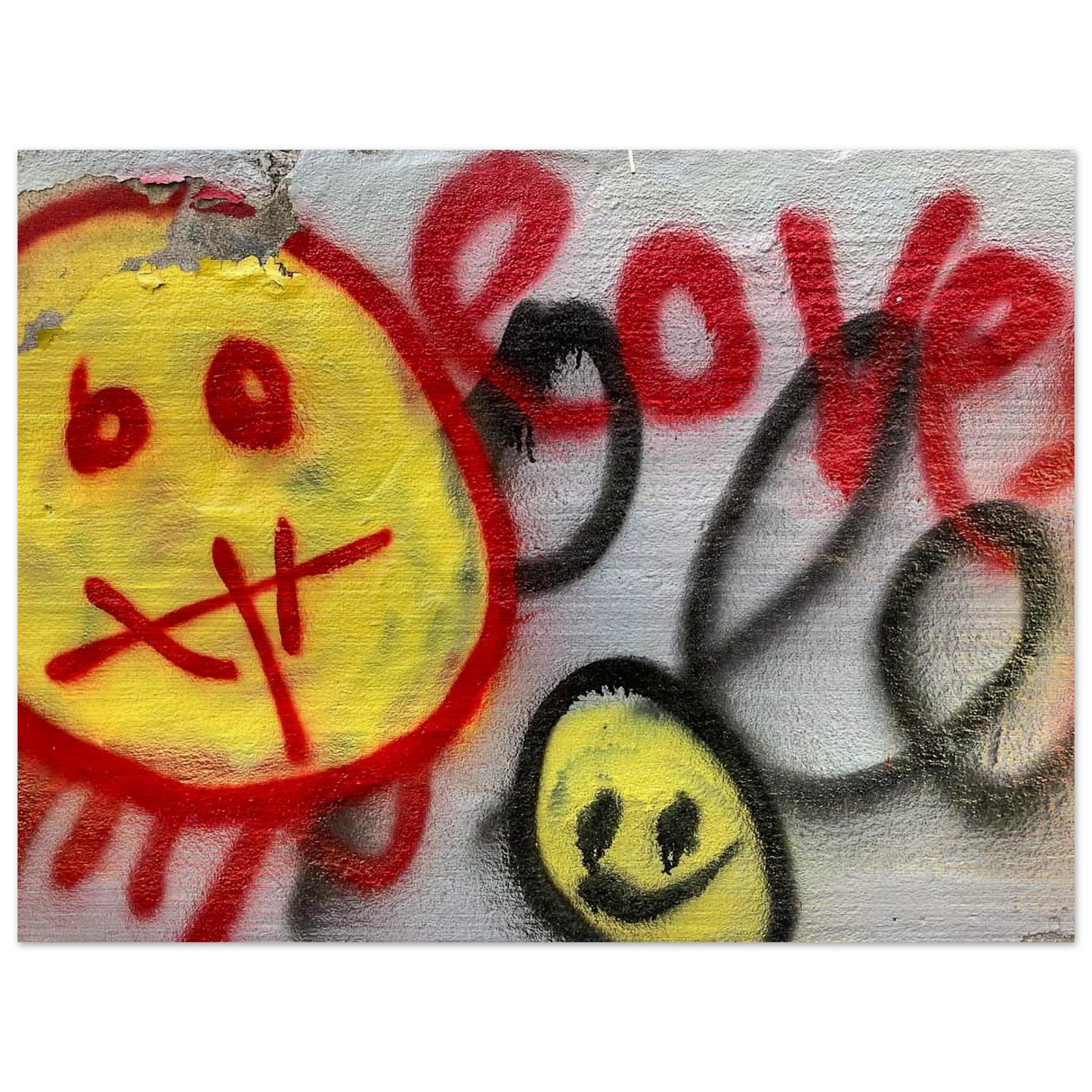 ccf5293a-7791-4b3a-a717-1024352947b4