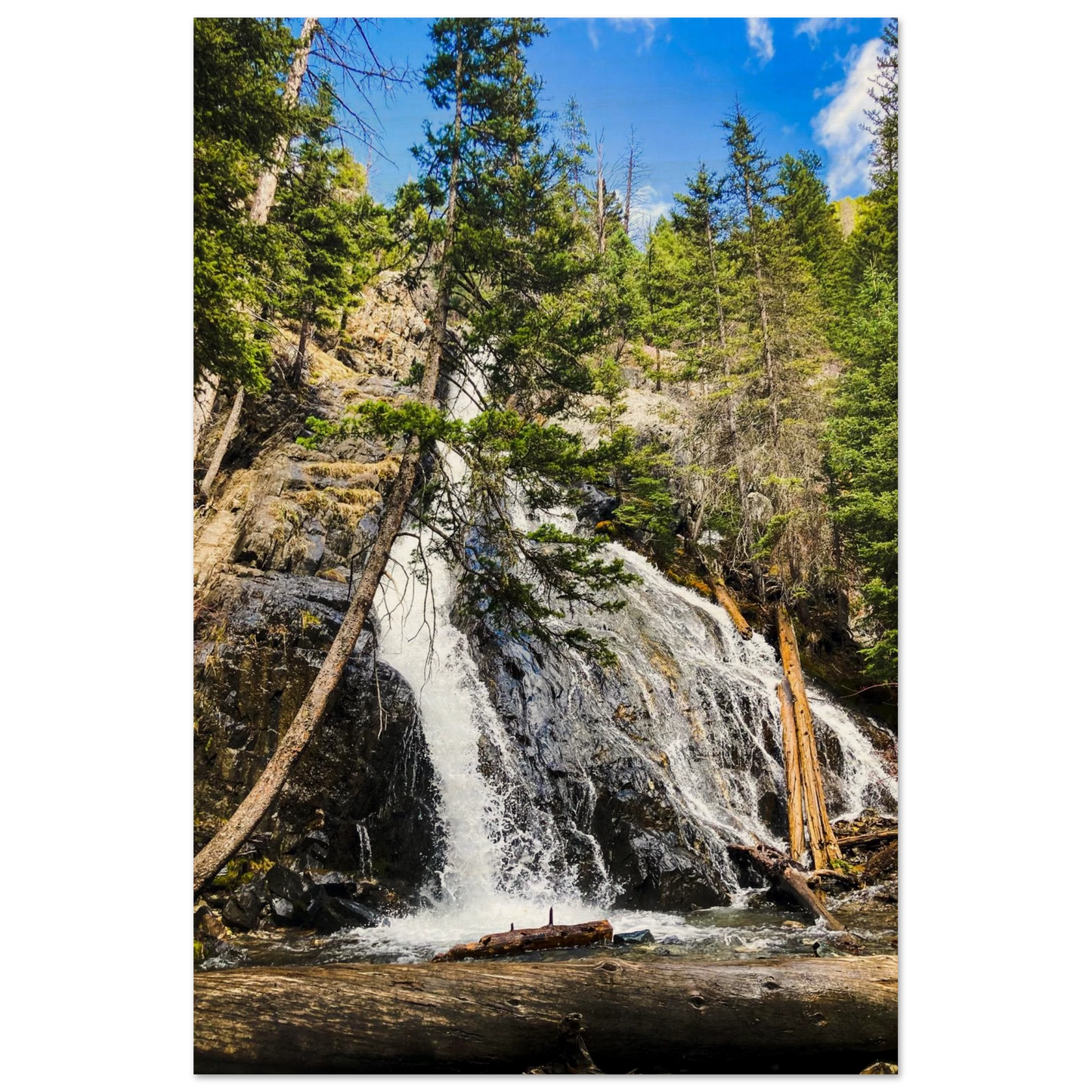 cf8d2efa-f44e-49e0-bd4a-ea924c2e08f7