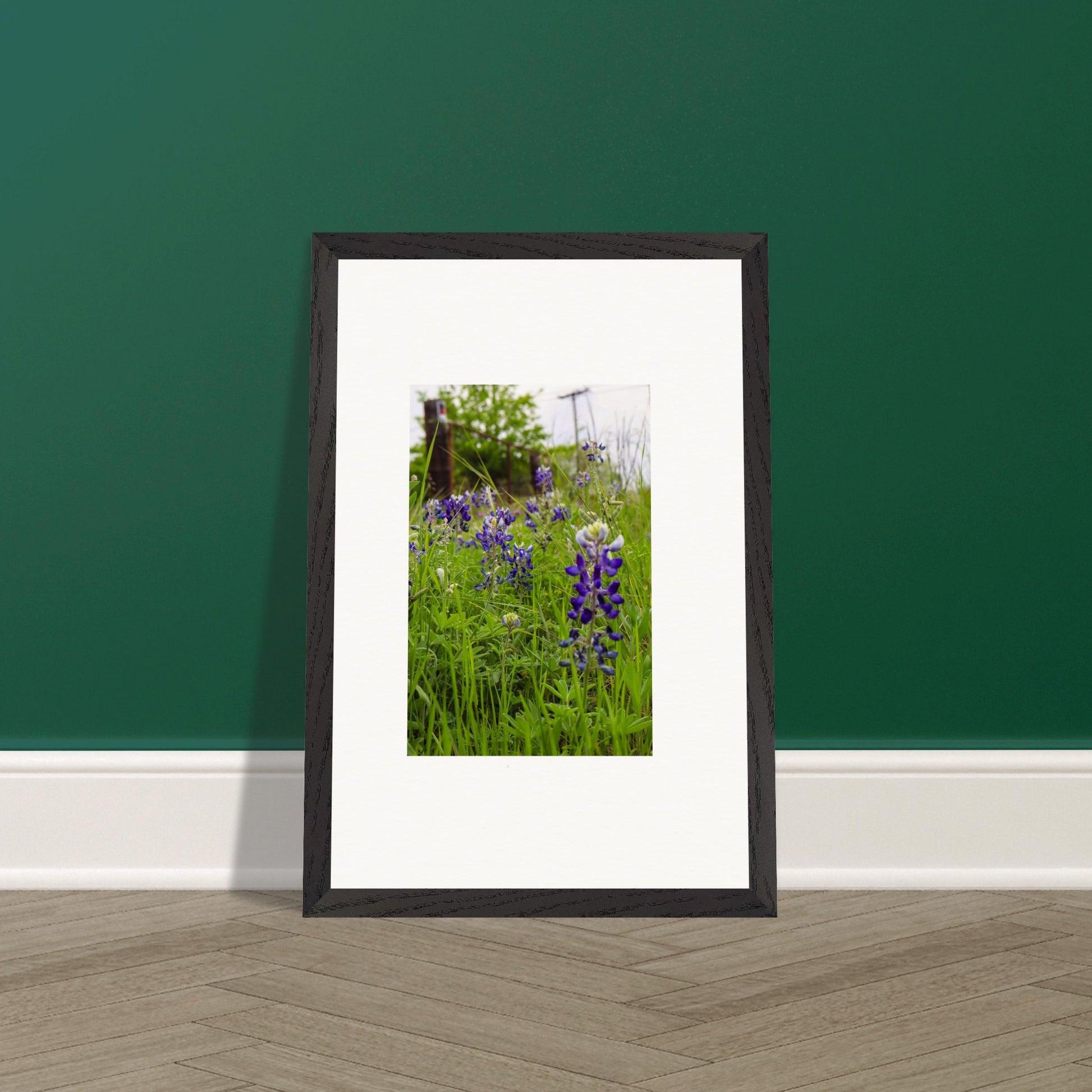 cff5e5e2-594c-41c1-aa39-dcae0080faee