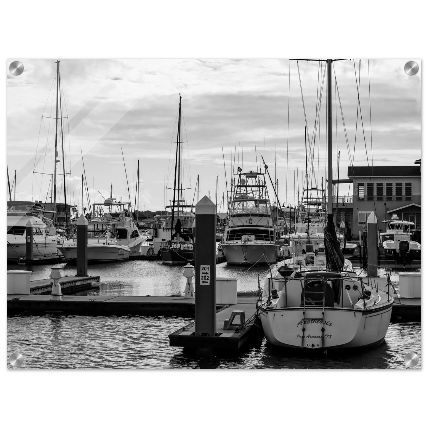 d0ab9c72-ed96-4725-9159-302c58365c31