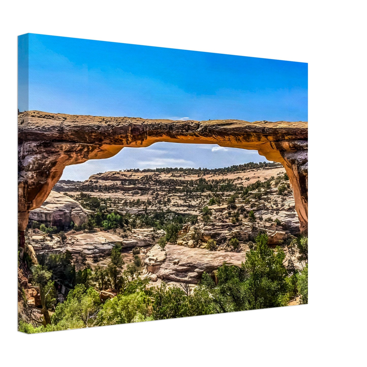 d1f41471-a91e-4ecc-b2e1-1ece62cd53e4