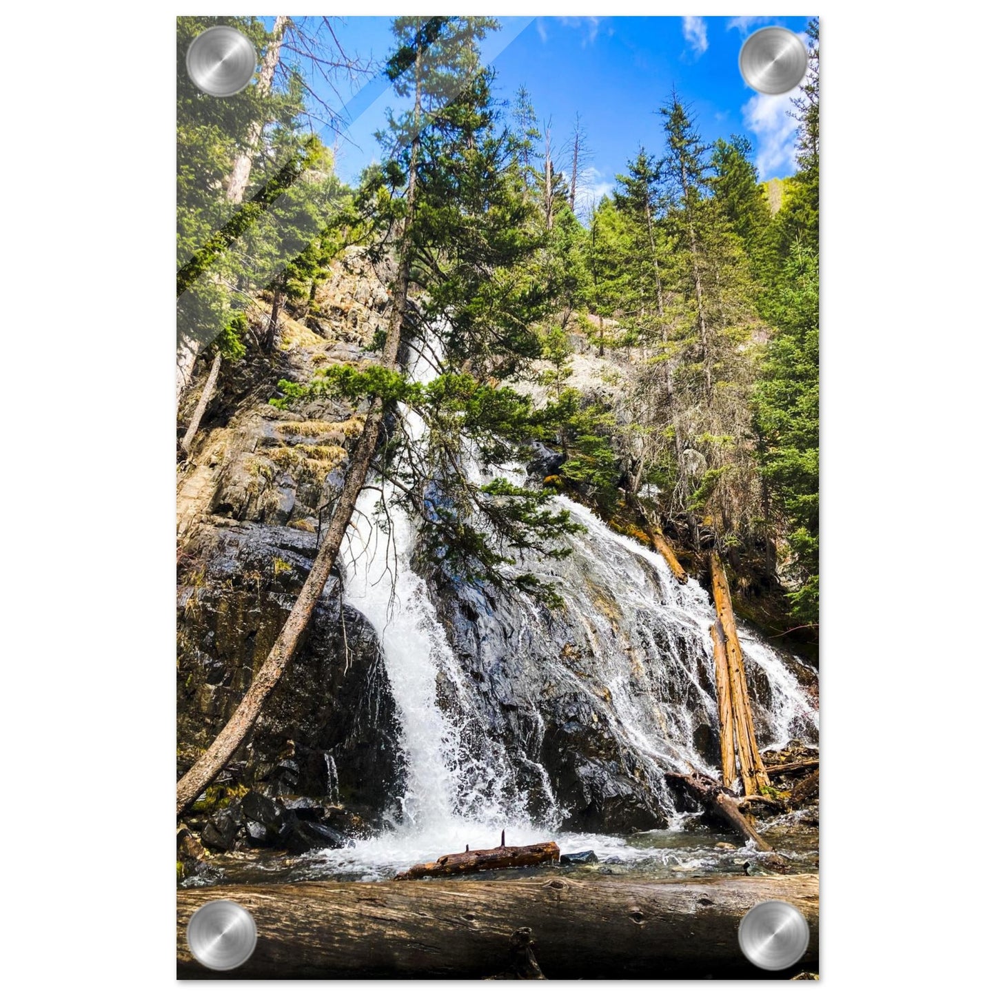 d4fd1187-7d04-4485-afdc-fd8c43da5542