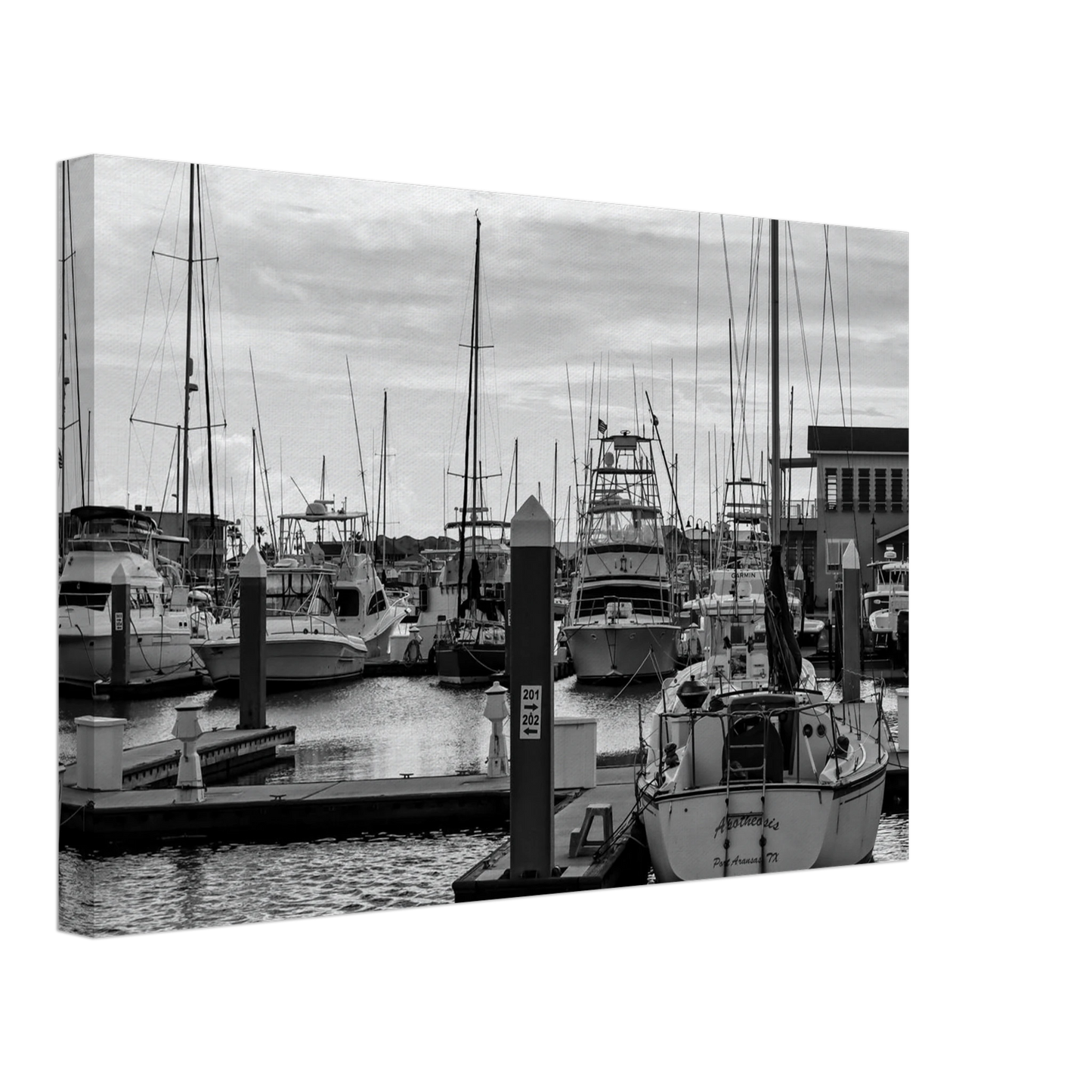 d78095bc-d5fd-449f-99d1-a9918493890c