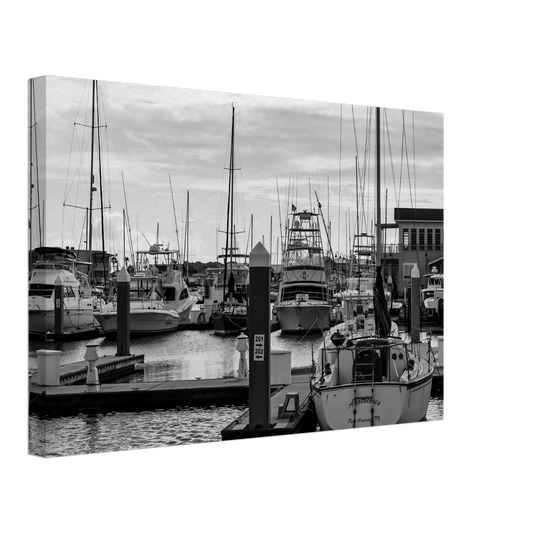 d78095bc-d5fd-449f-99d1-a9918493890c