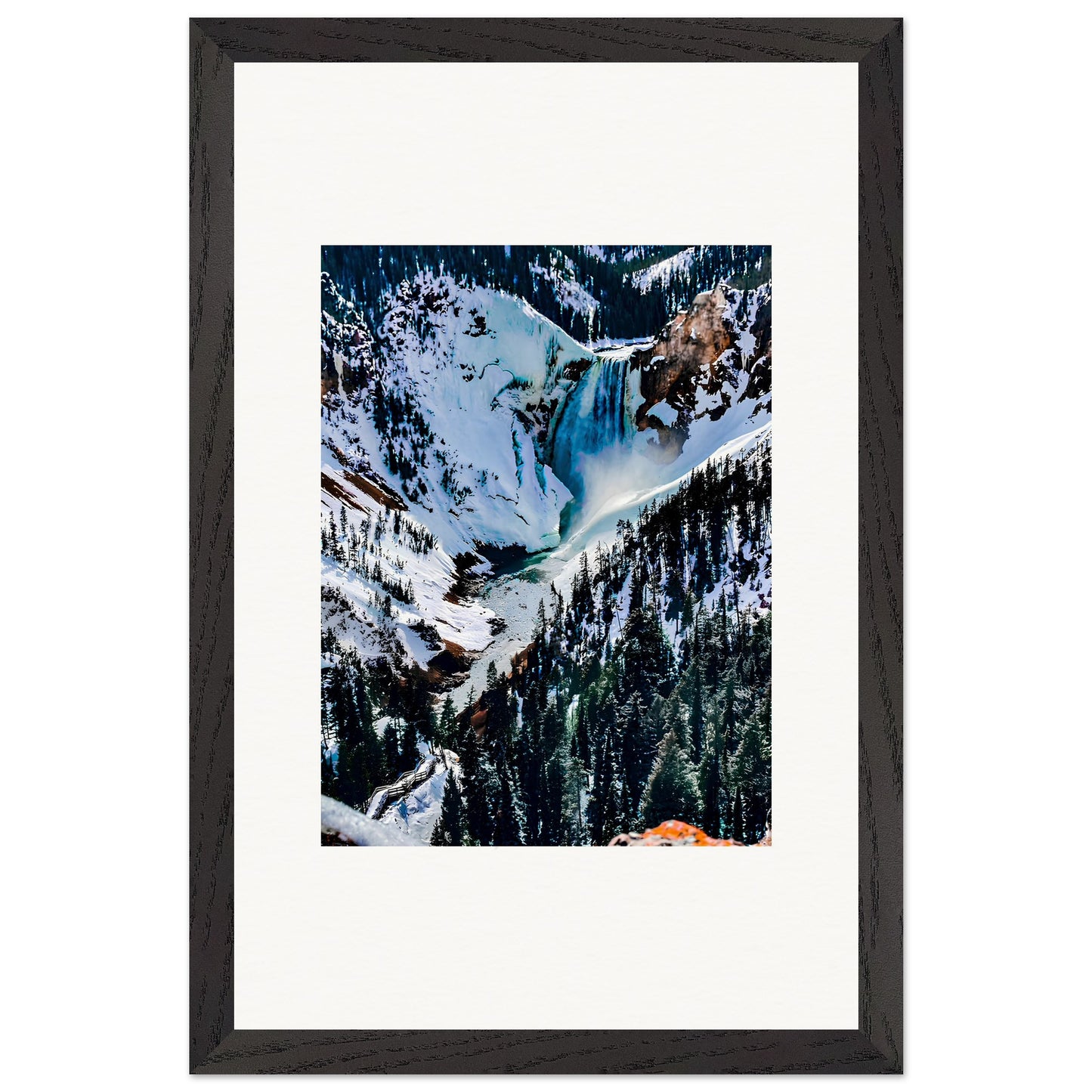 d8647b3c-2fee-4723-9af3-55775dd7dd49